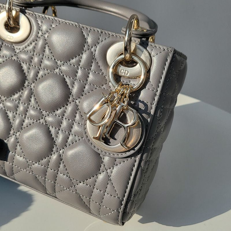 디올 레이디백 미니