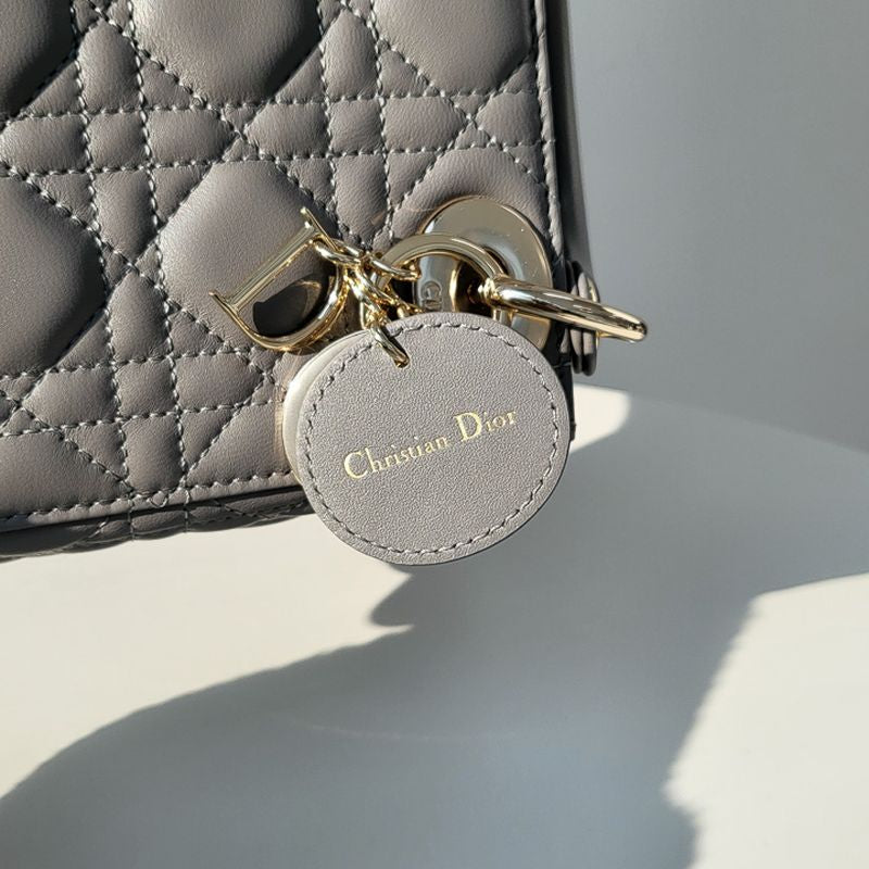 디올 레이디백 미니