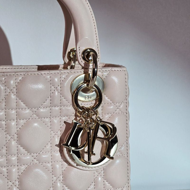 디올 레이디백 스몰