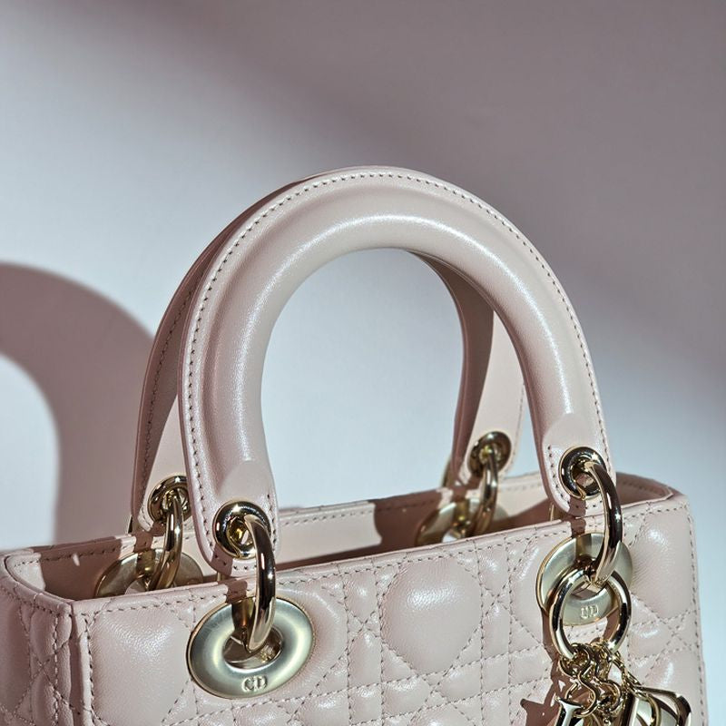 디올 레이디백 스몰