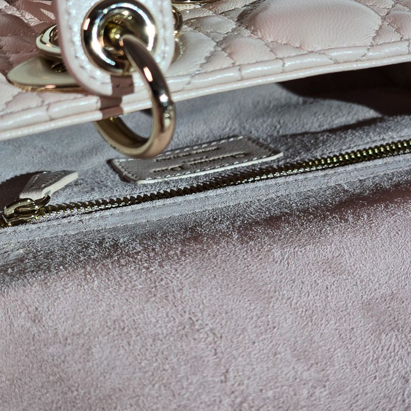 디올 레이디백 스몰