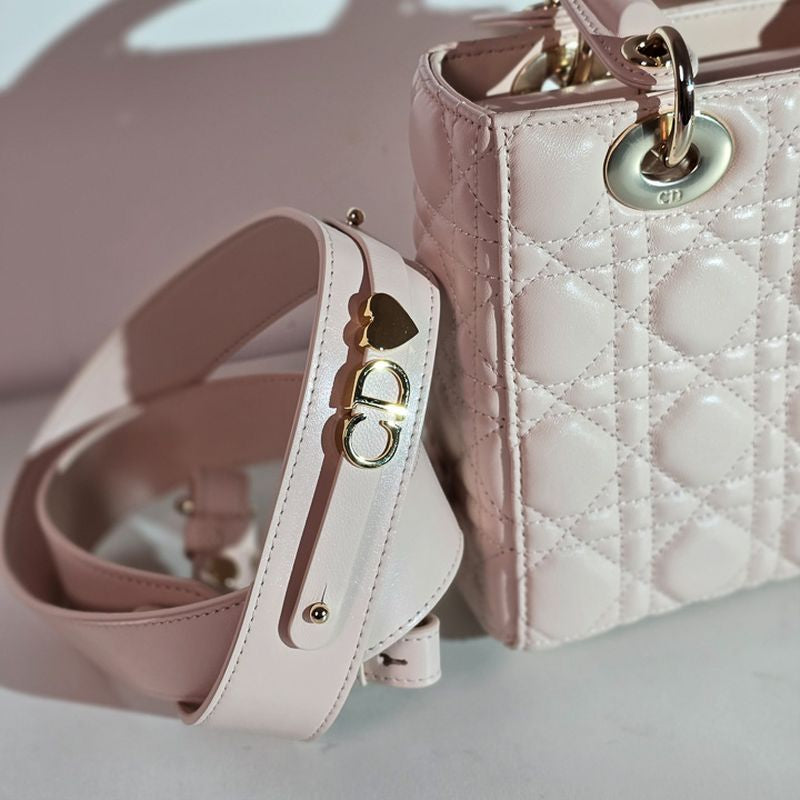 디올 레이디백 스몰