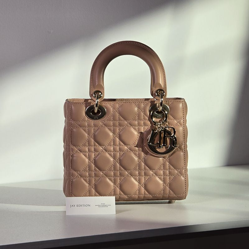 디올 레이디백 스몰