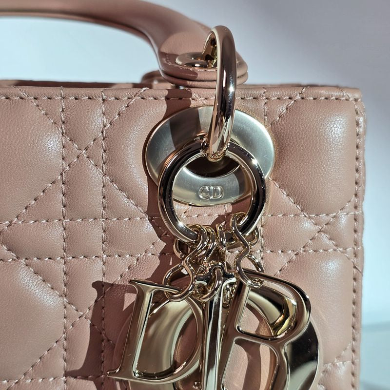 디올 레이디백 스몰