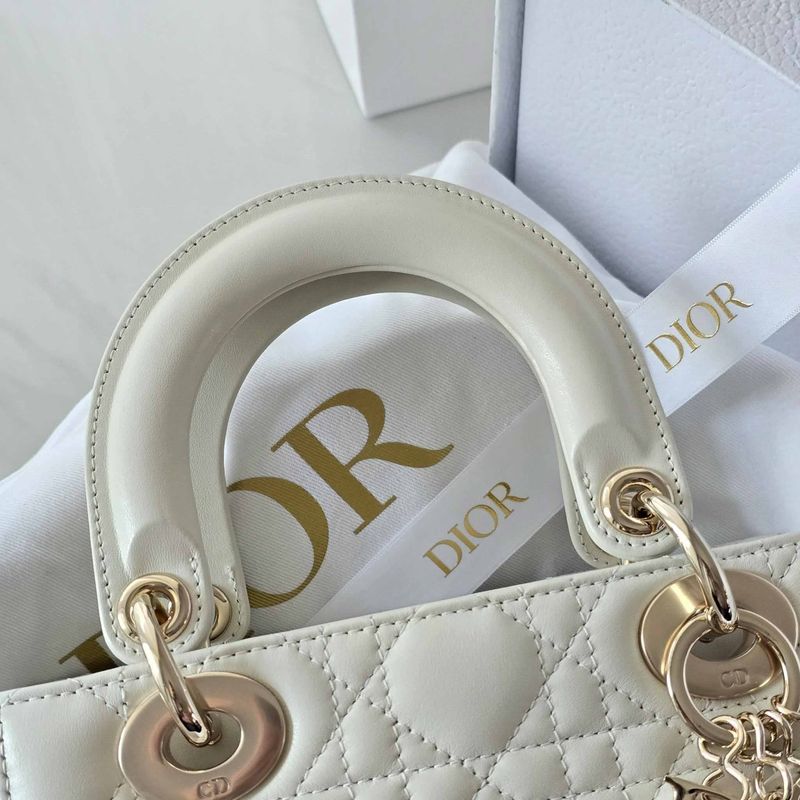 디올 레이디백 스몰