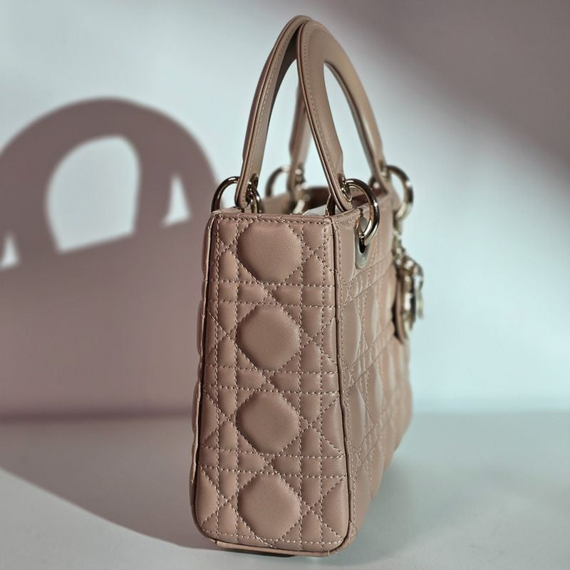 디올 레이디백 스몰