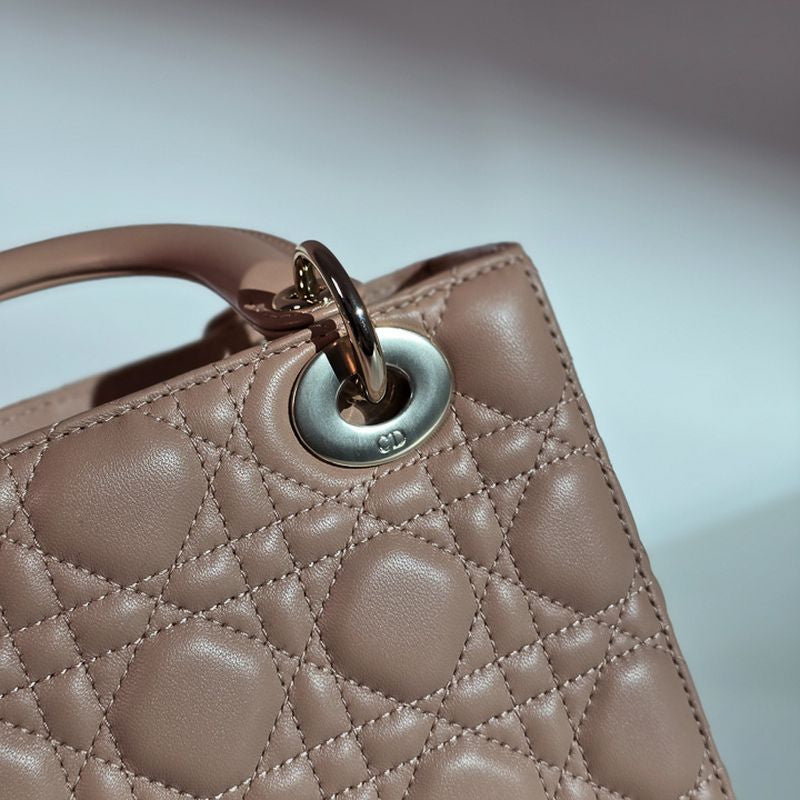 디올 레이디백 스몰