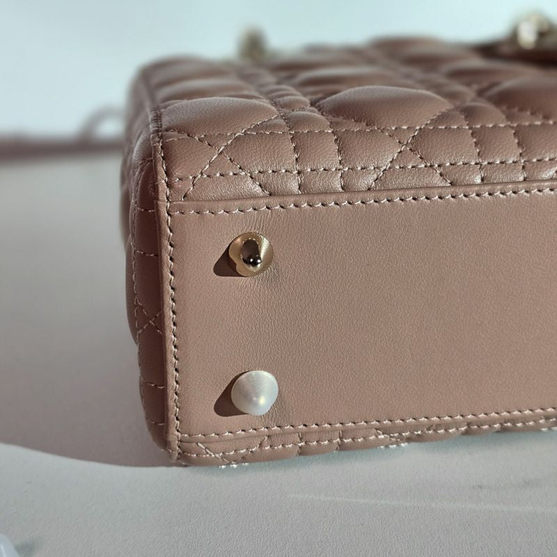 디올 레이디백 스몰