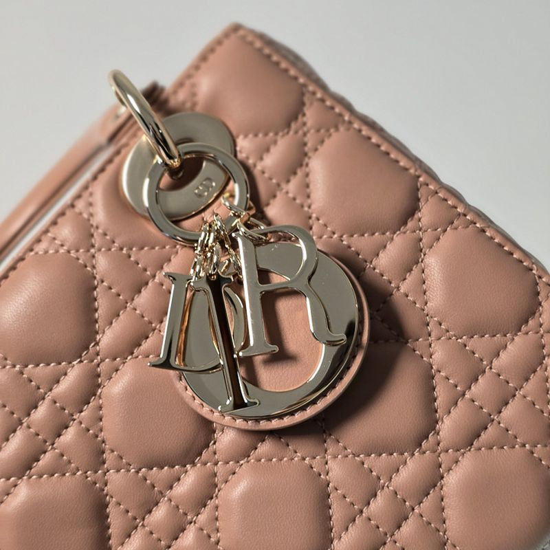 디올 레이디백 스몰