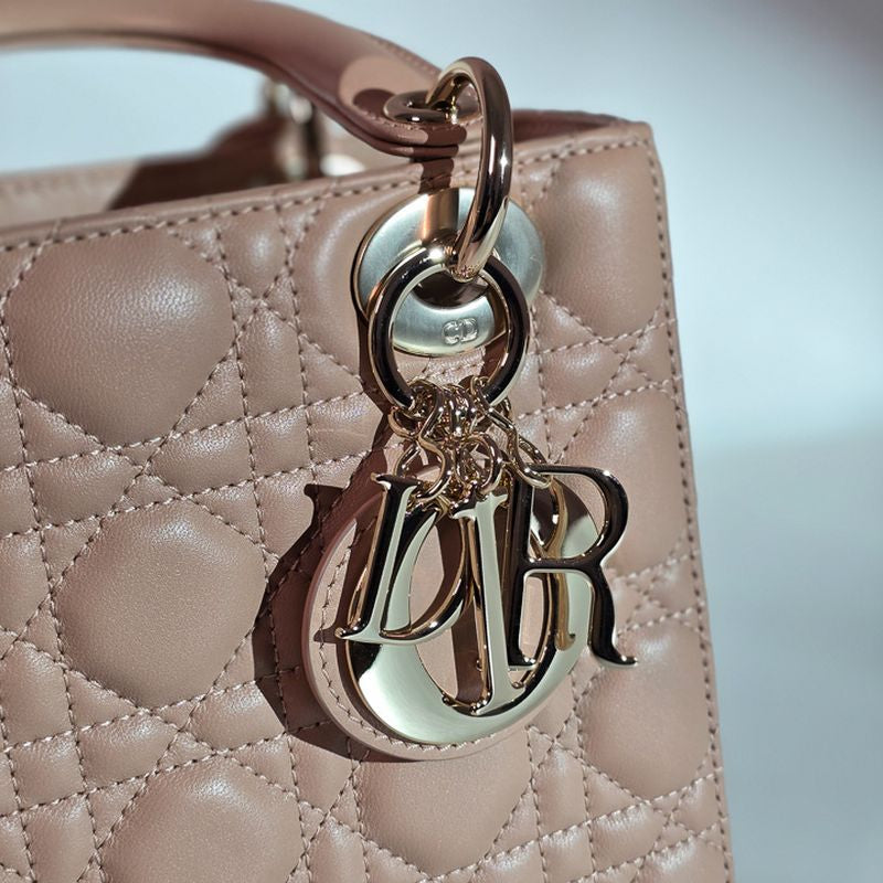 디올 레이디백 스몰