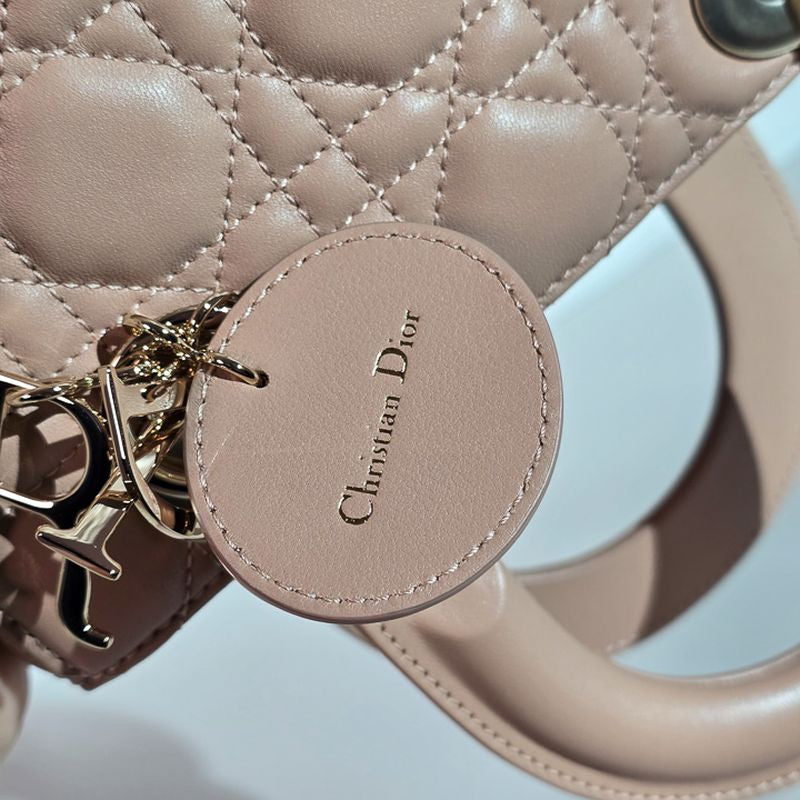 디올 레이디백 스몰
