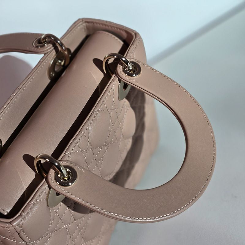 디올 레이디백 스몰