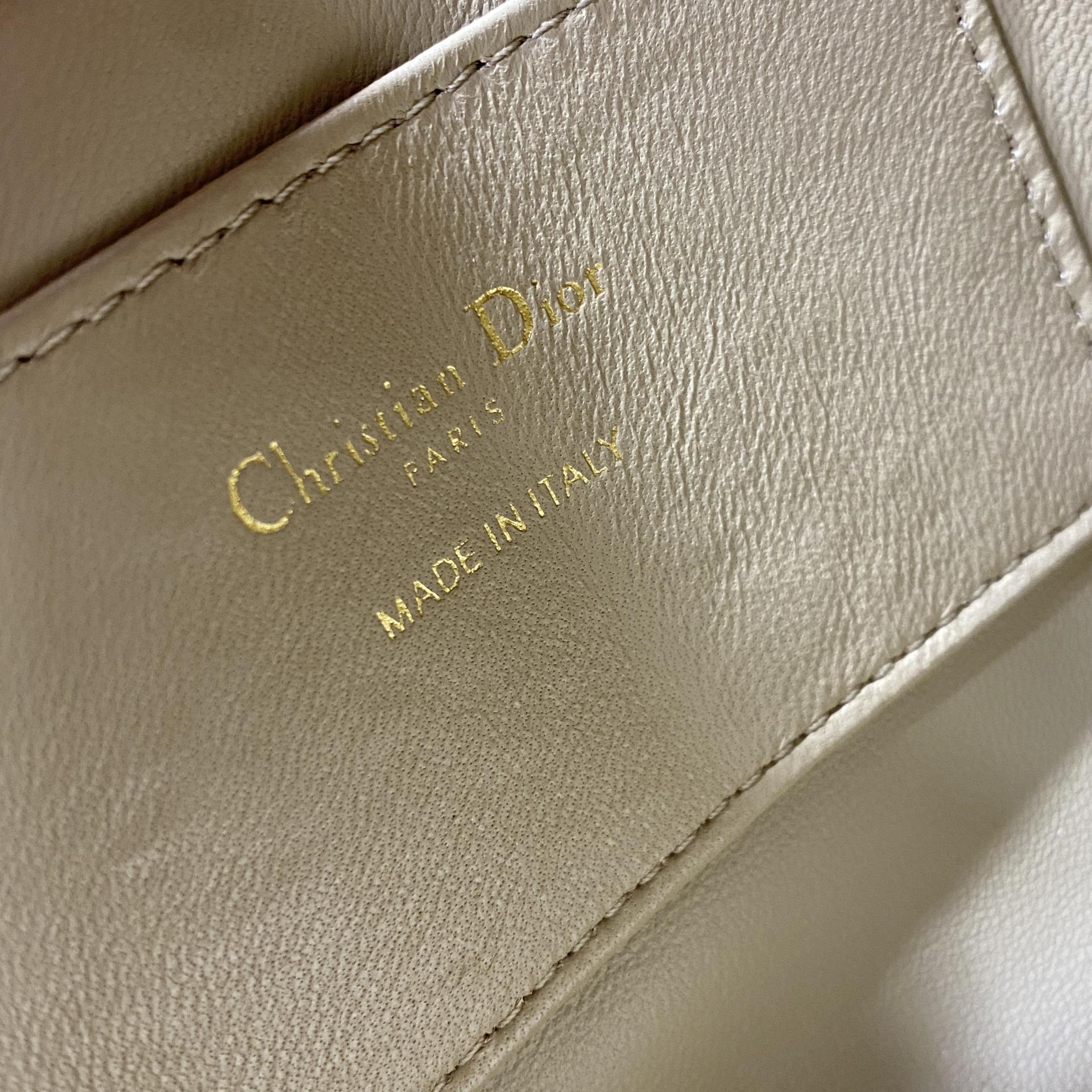 디올 버티컬 뚜주흐백 스몰,미디움