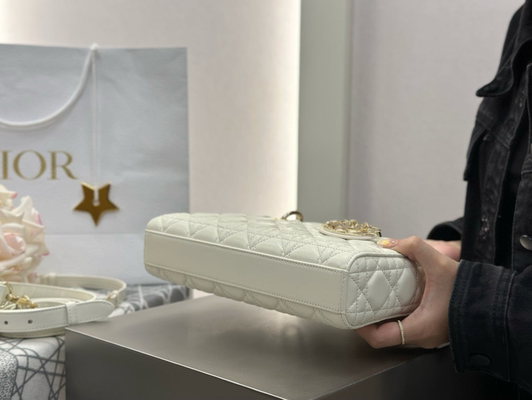 디올 디 조이백 미디움