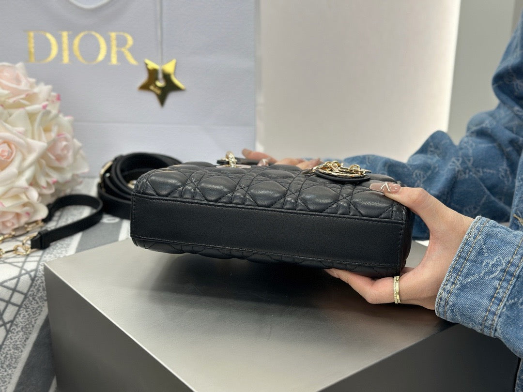 디올 디 조이백 스몰