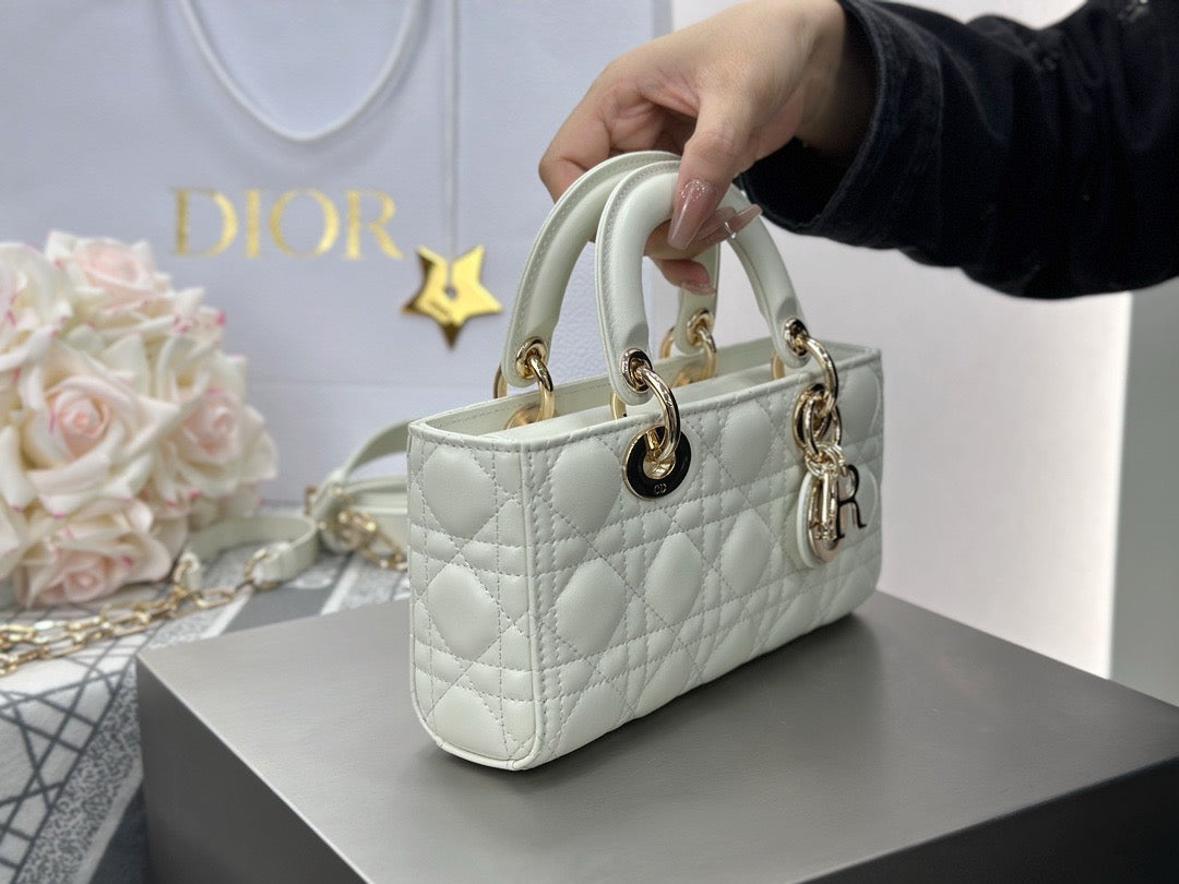 디올 디 조이백 스몰