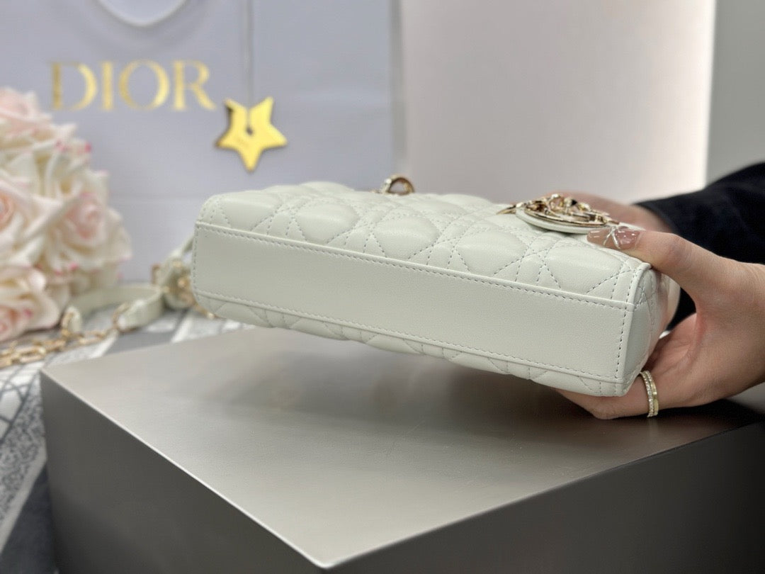 디올 디 조이백 스몰