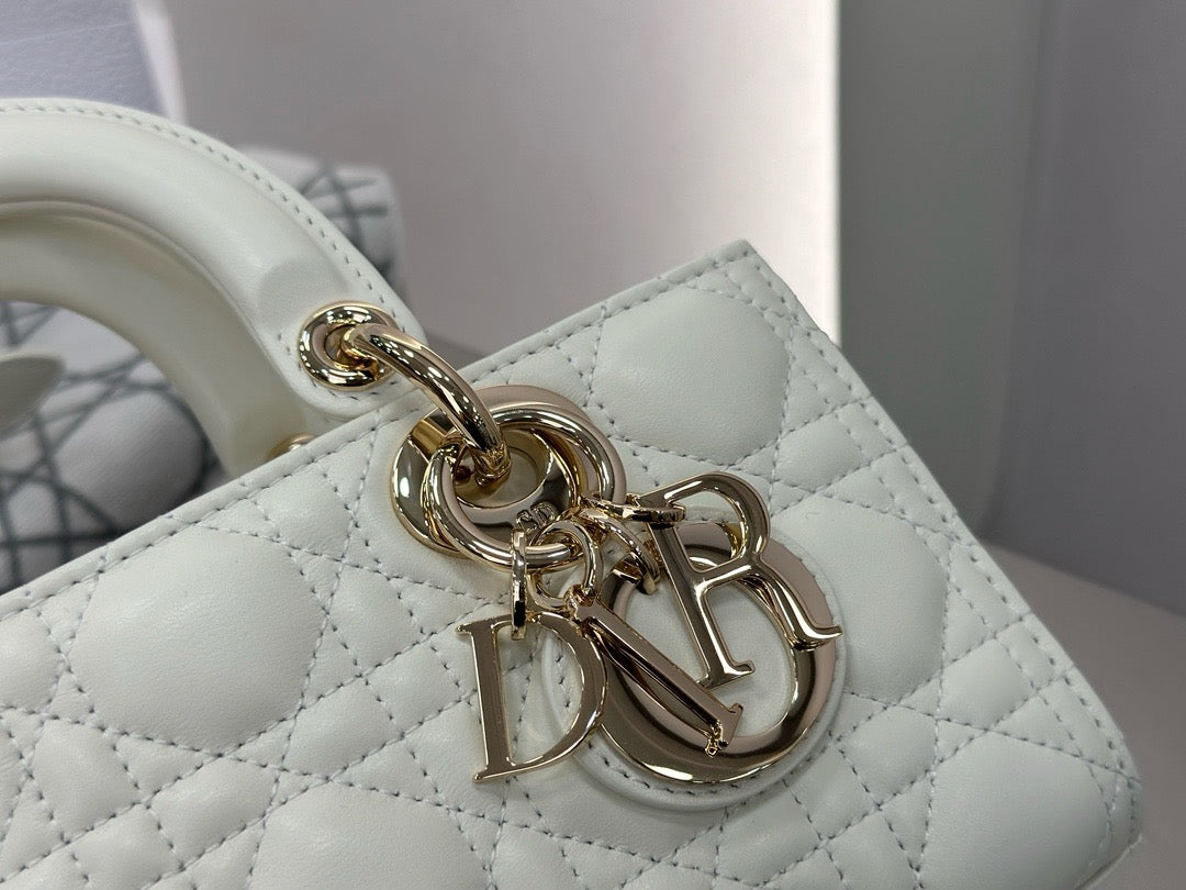 디올 디 조이백 스몰