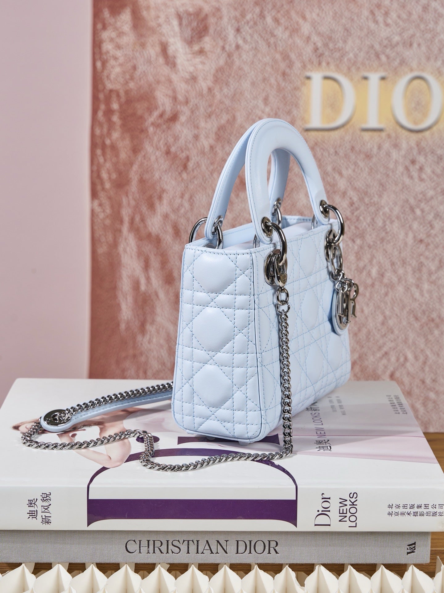 디올 레이디백 미니