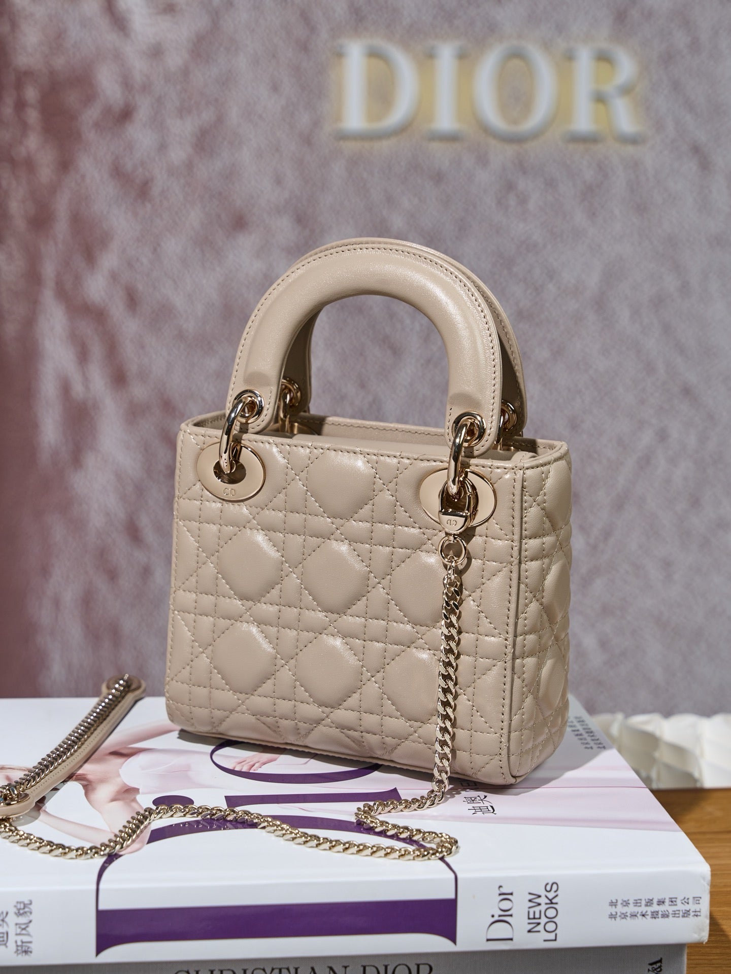 디올 레이디백 미니
