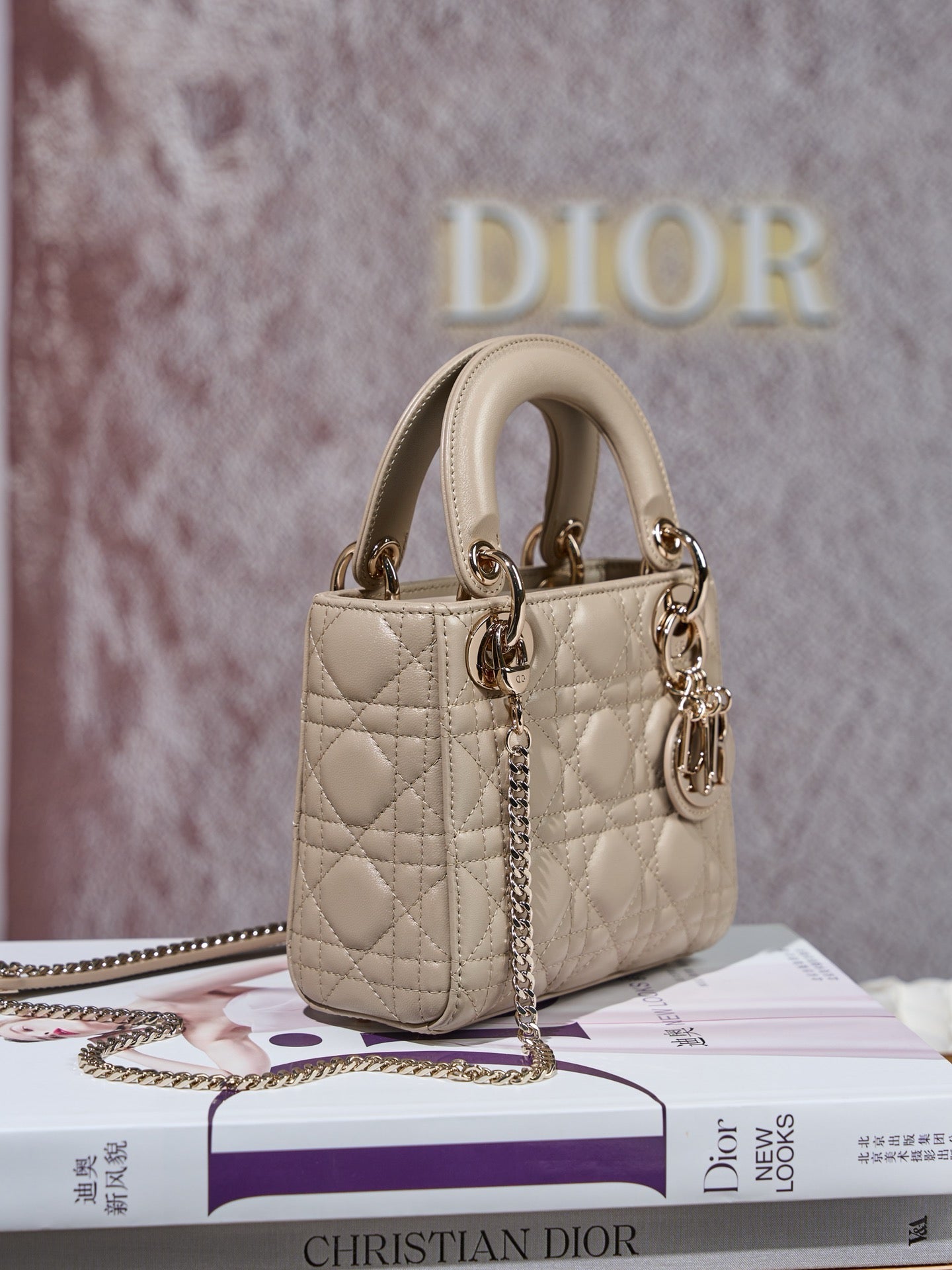 디올 레이디백 미니