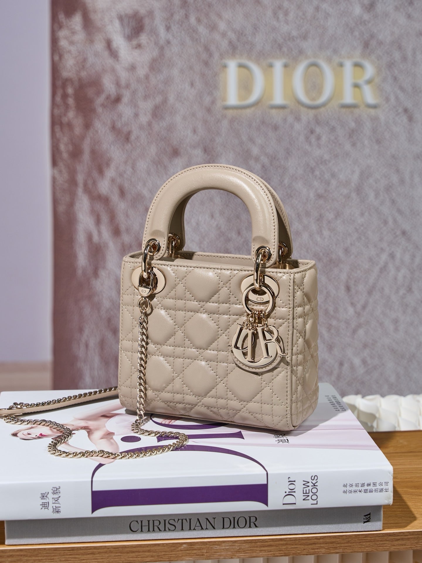 디올 레이디백 미니