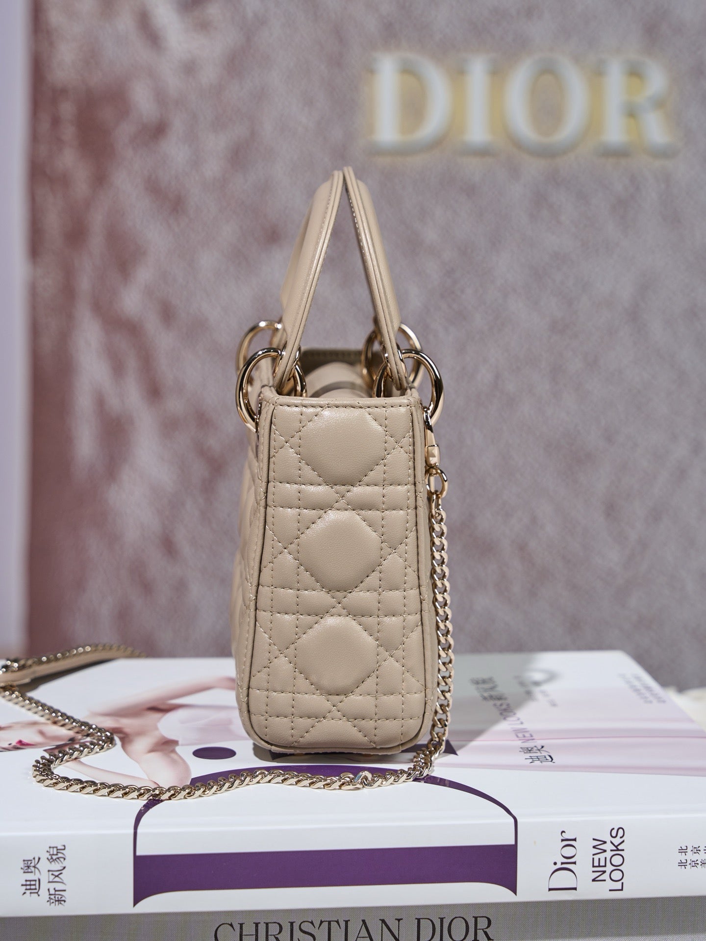 디올 레이디백 미니