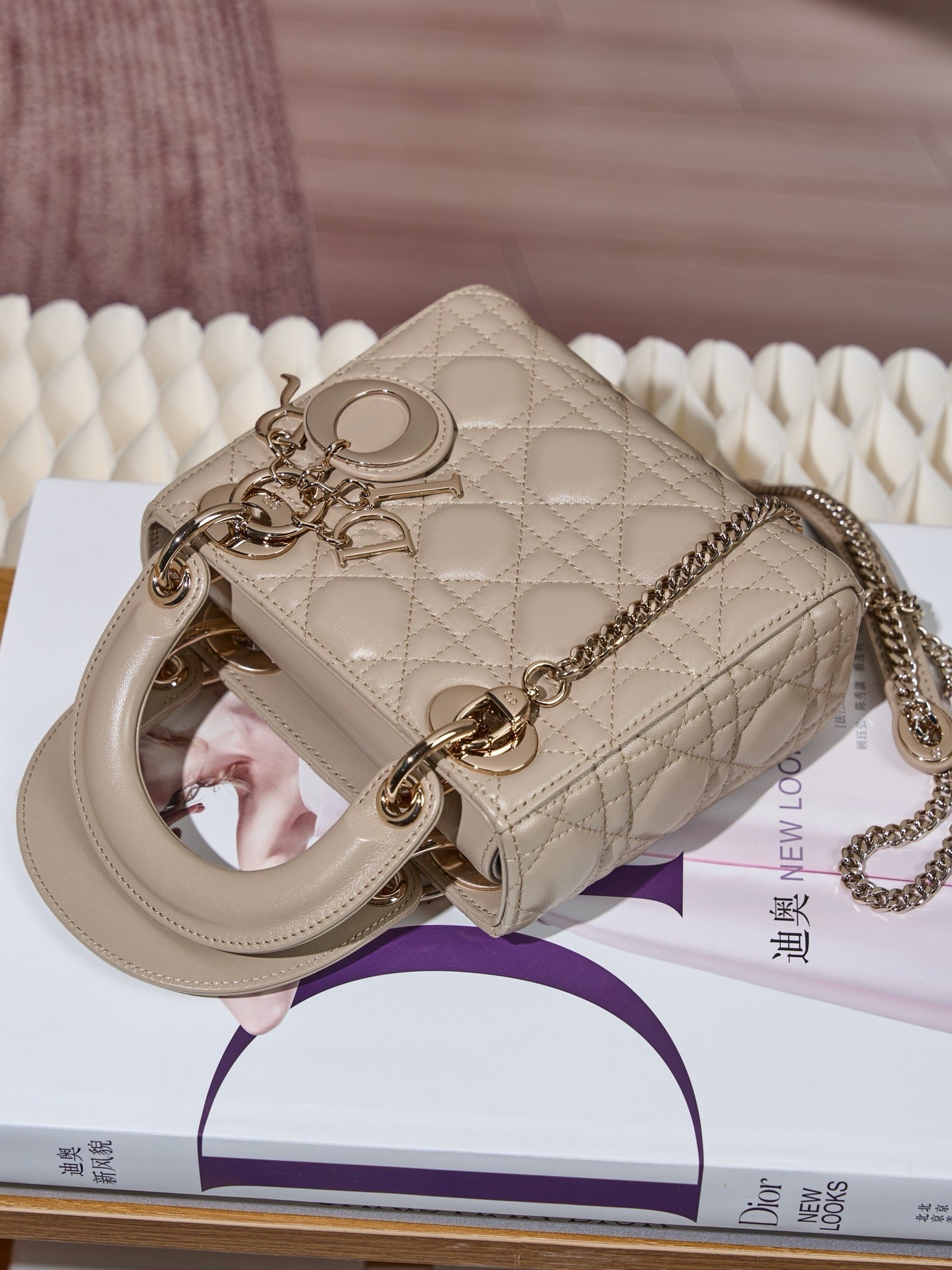 디올 레이디백 미니