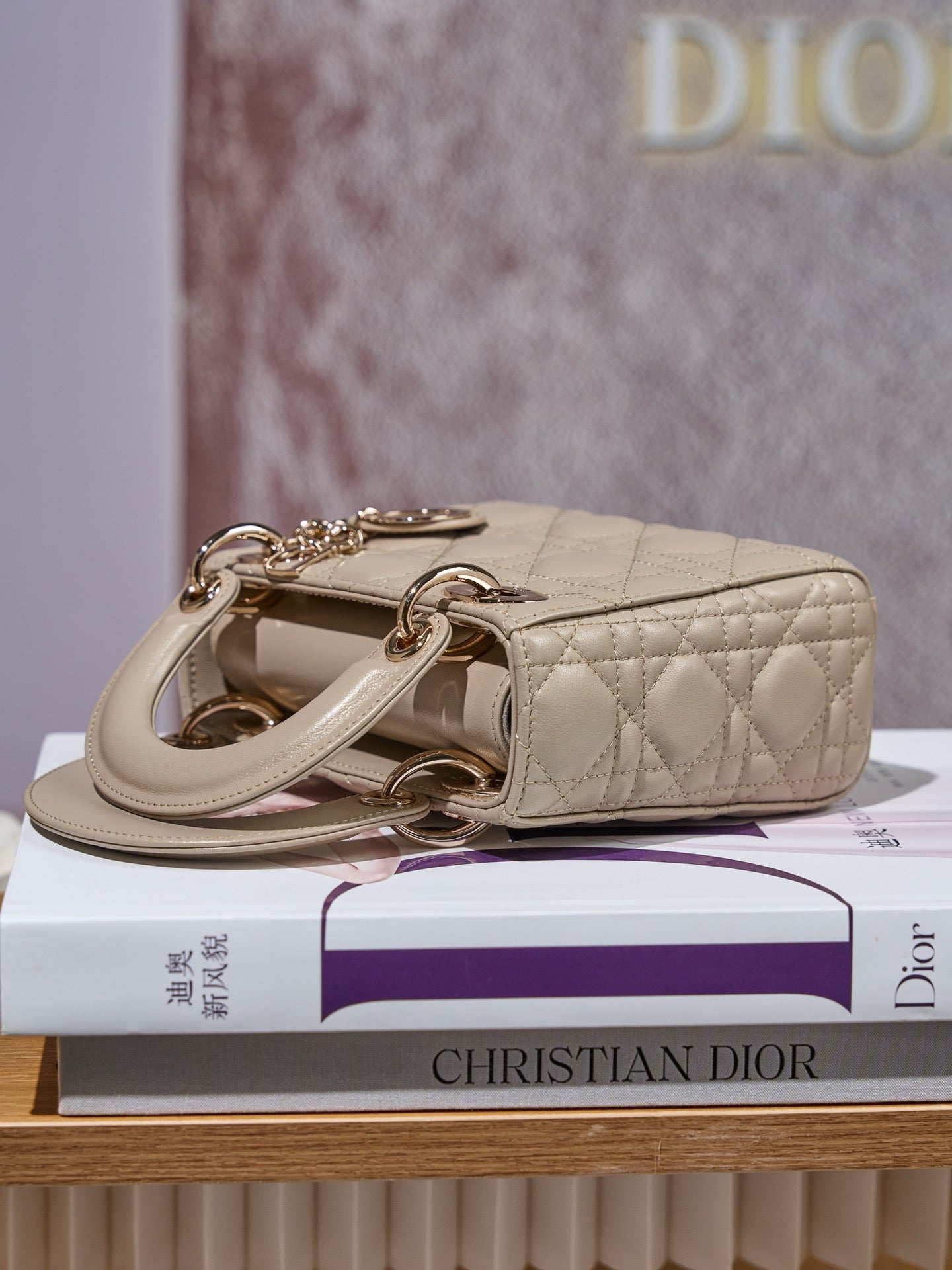 디올 레이디백 미니