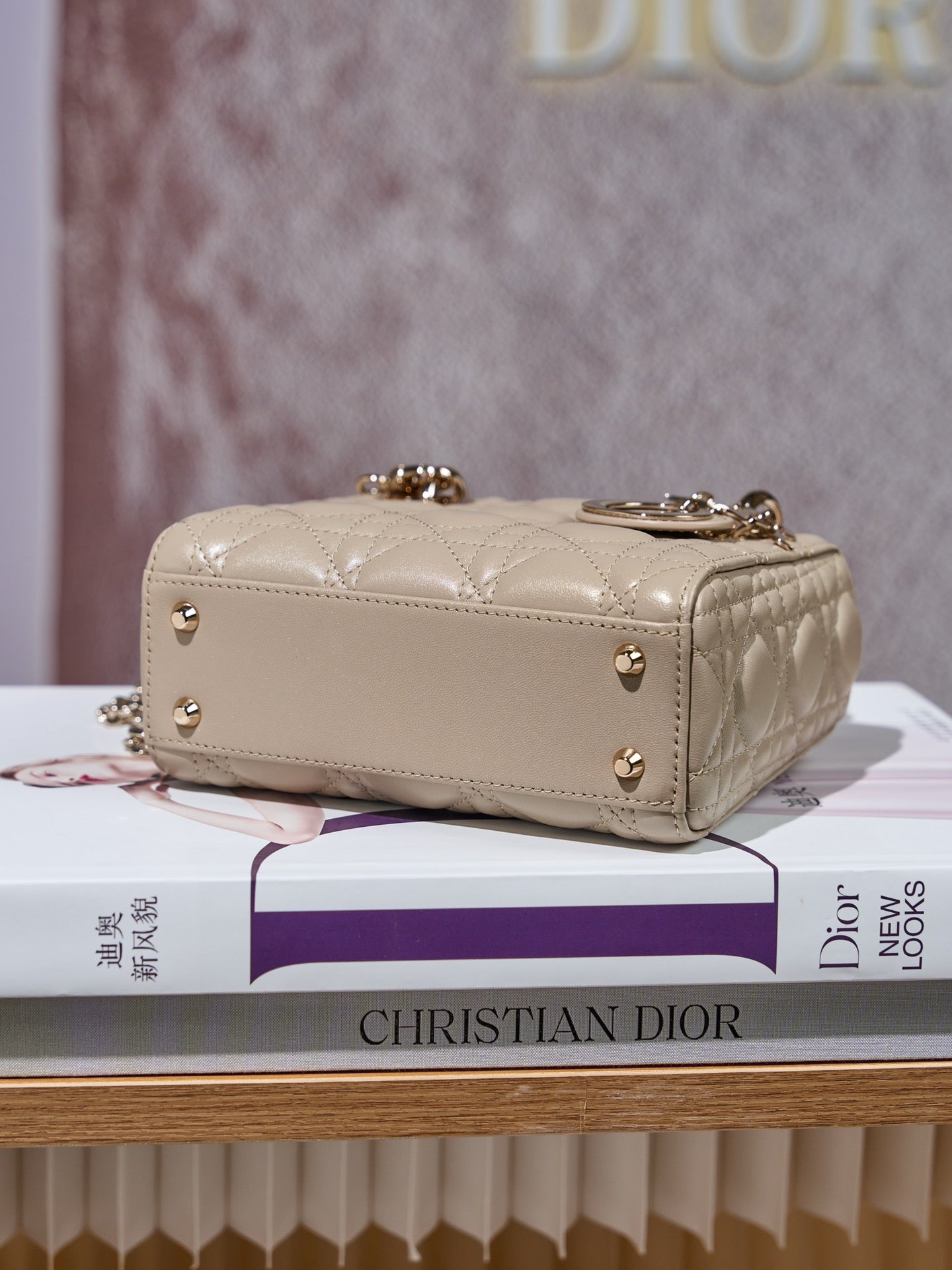 디올 레이디백 미니