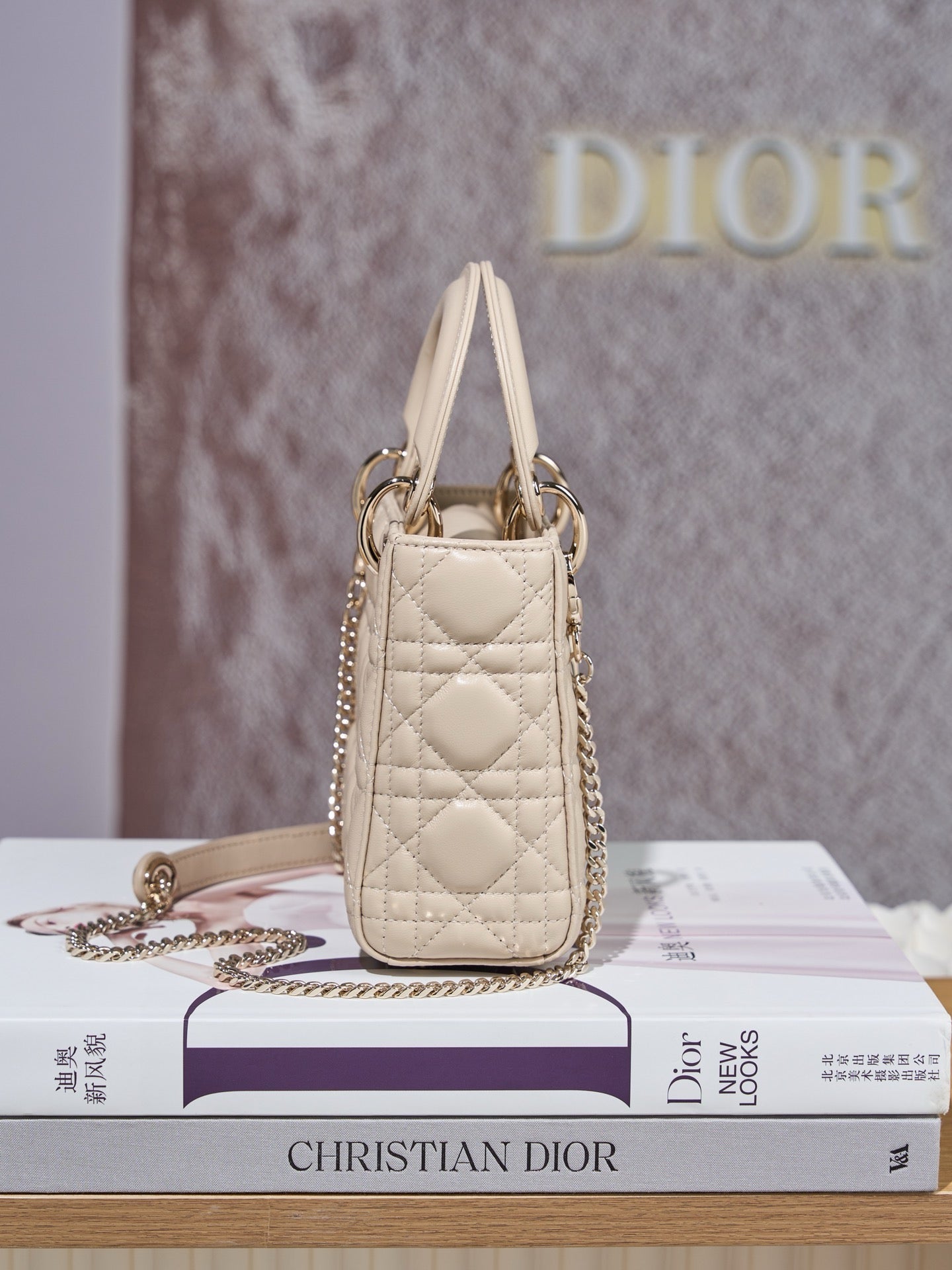 디올 레이디백 미니