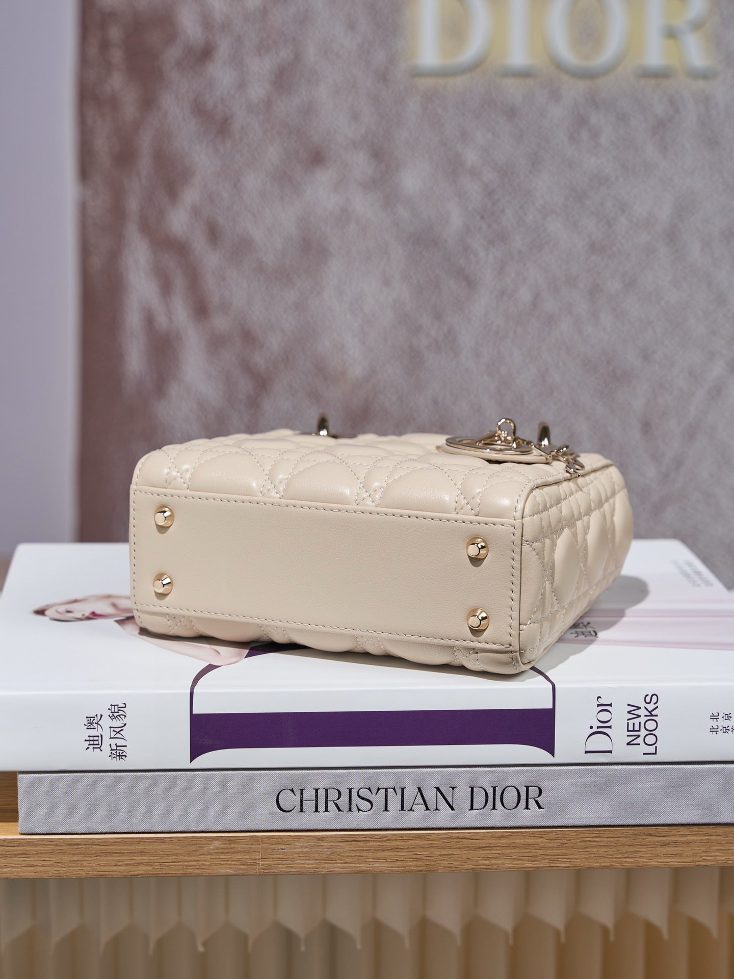 디올 레이디백 미니