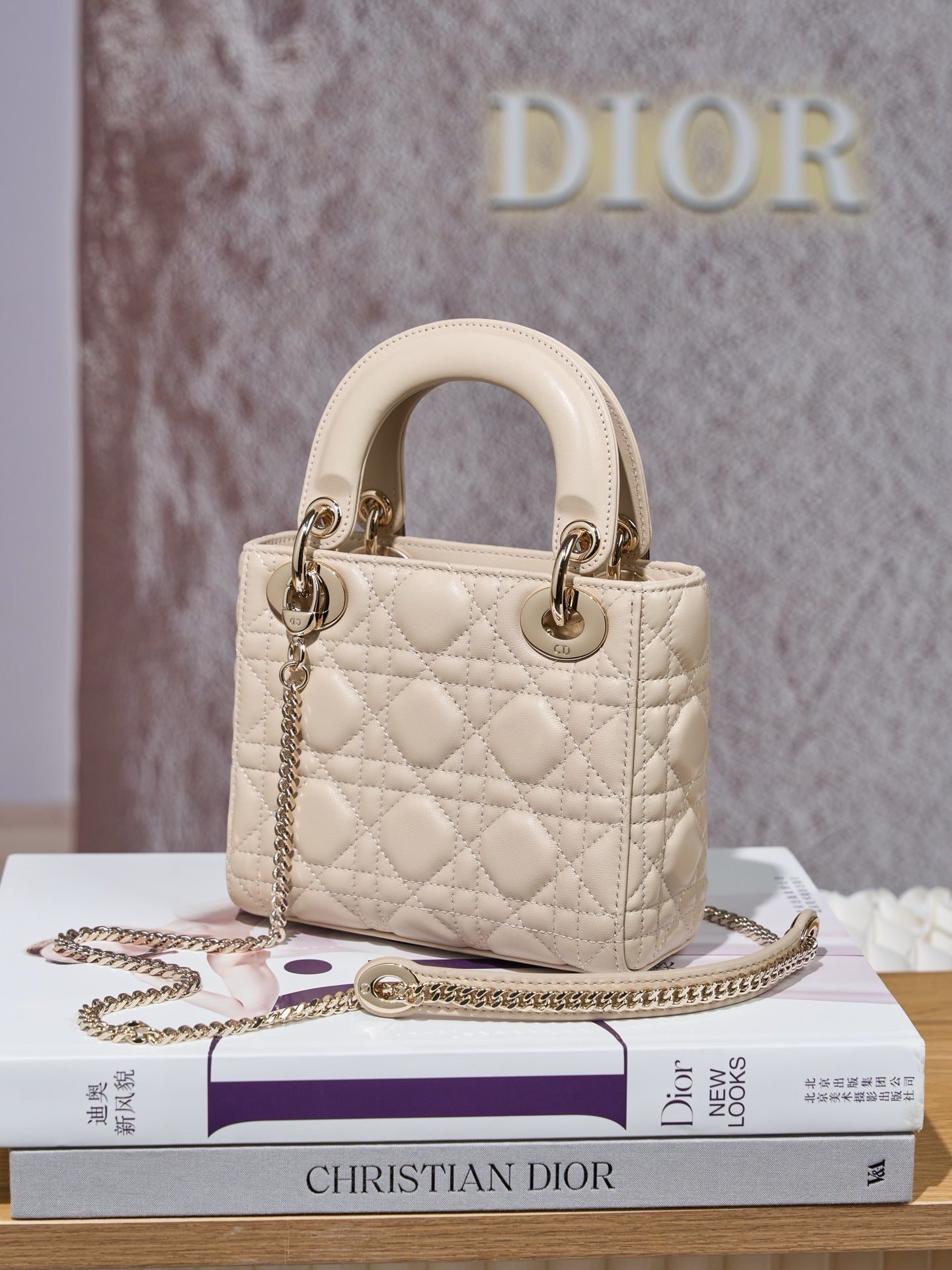 디올 레이디백 미니