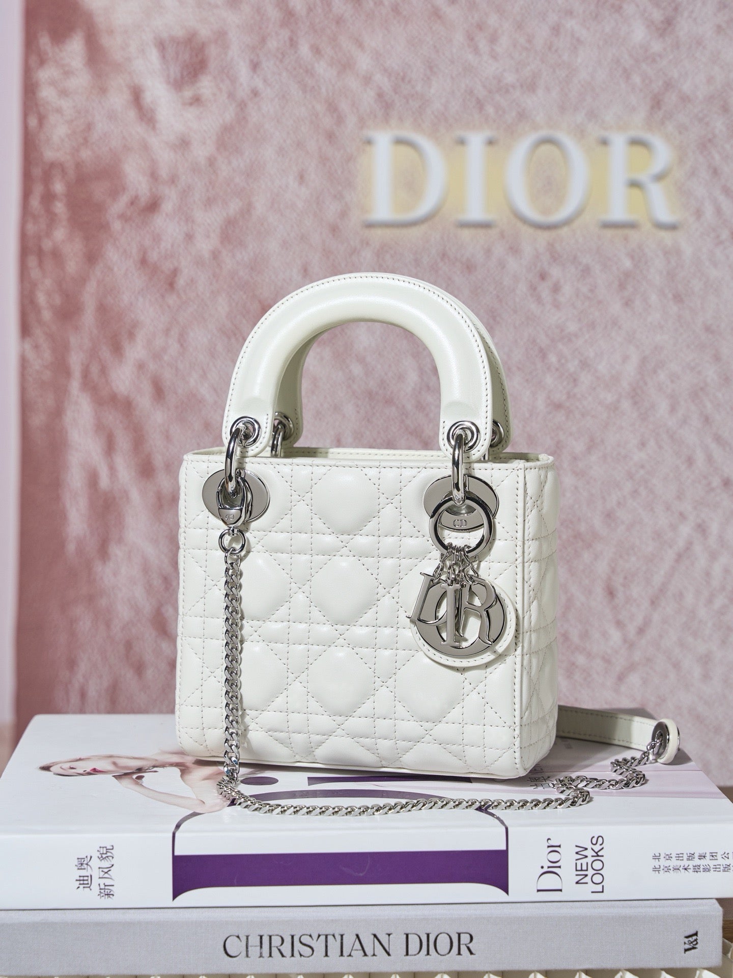 디올 레이디백 미니