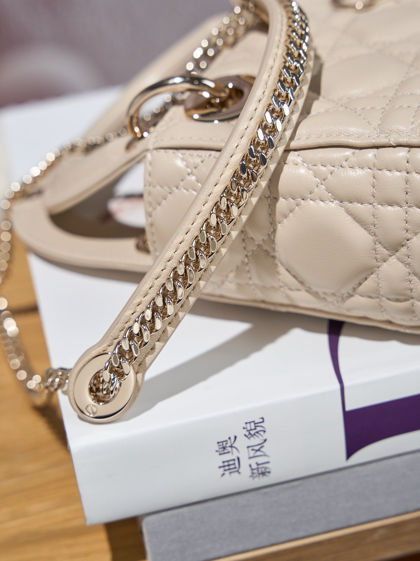 디올 레이디백 미니