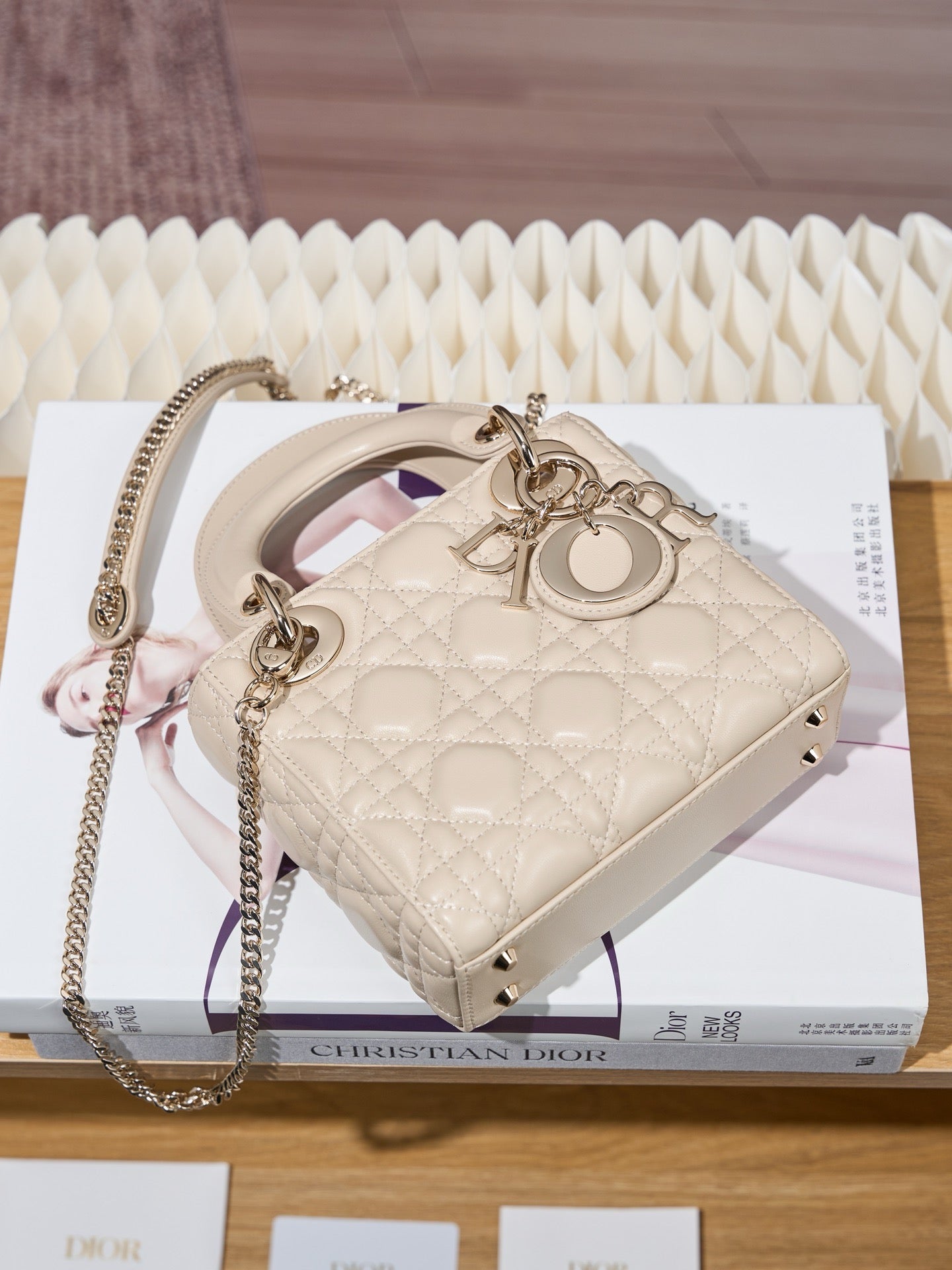 디올 레이디백 미니