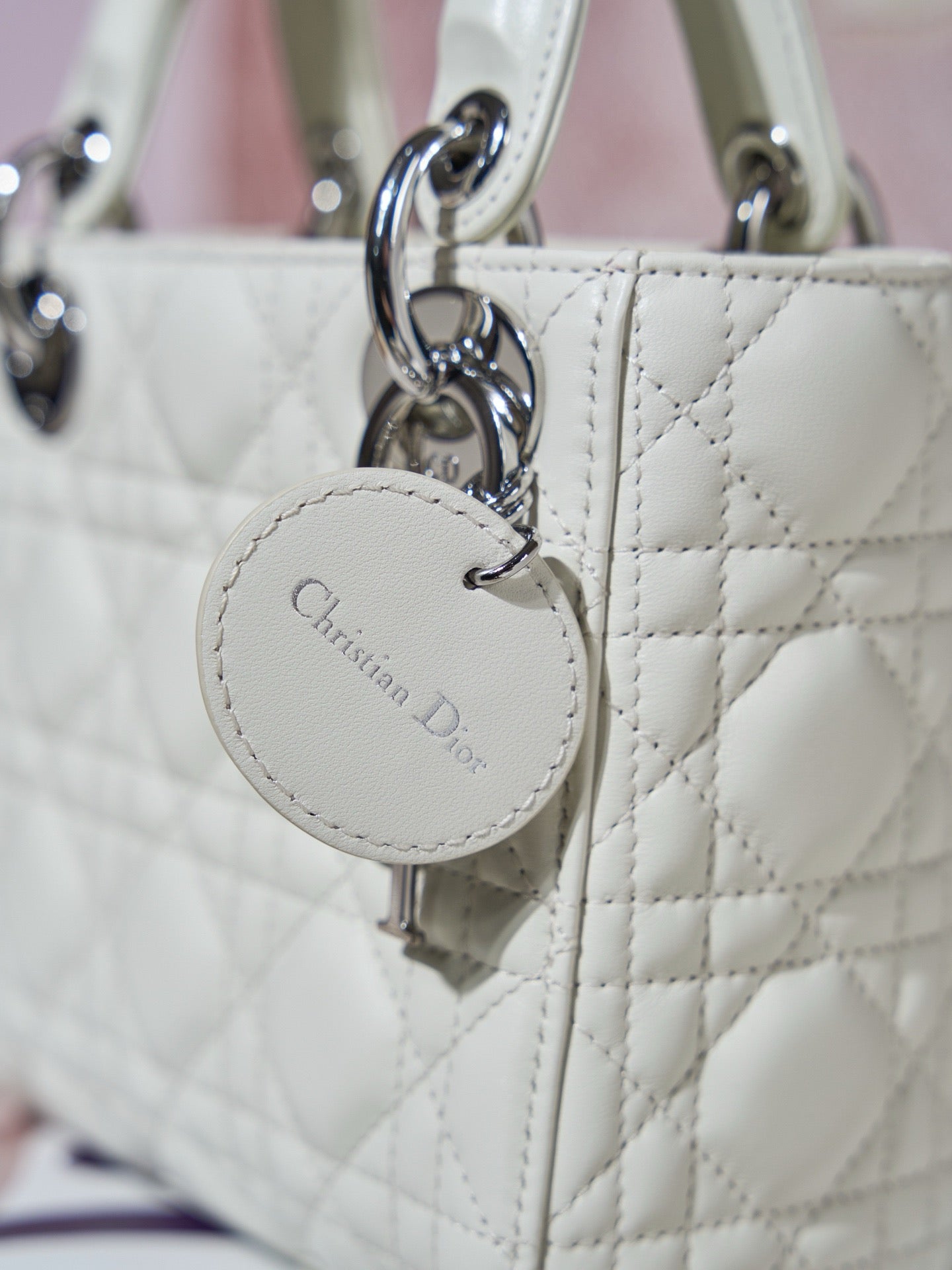 디올 레이디백 미니