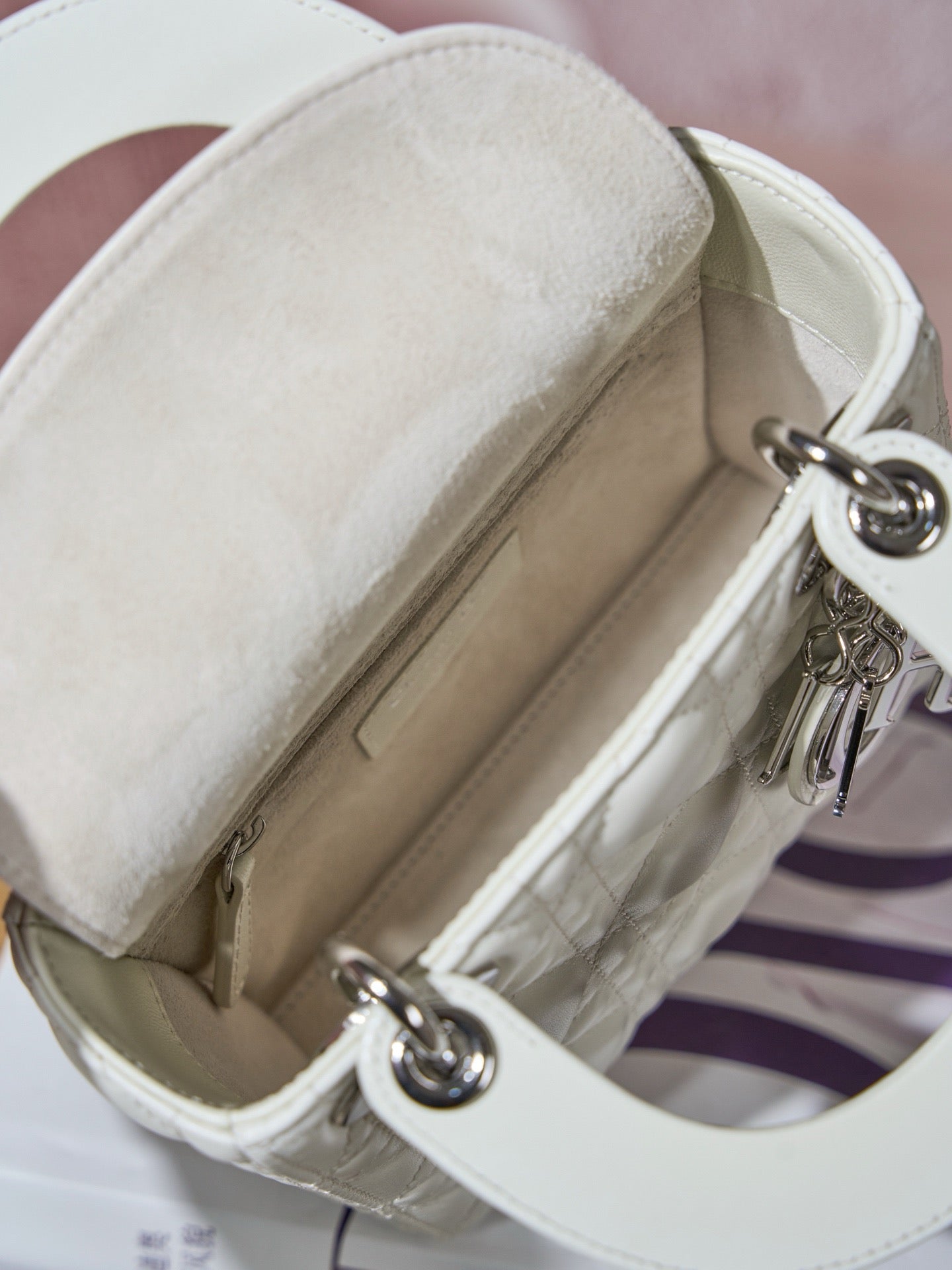 디올 레이디백 미니