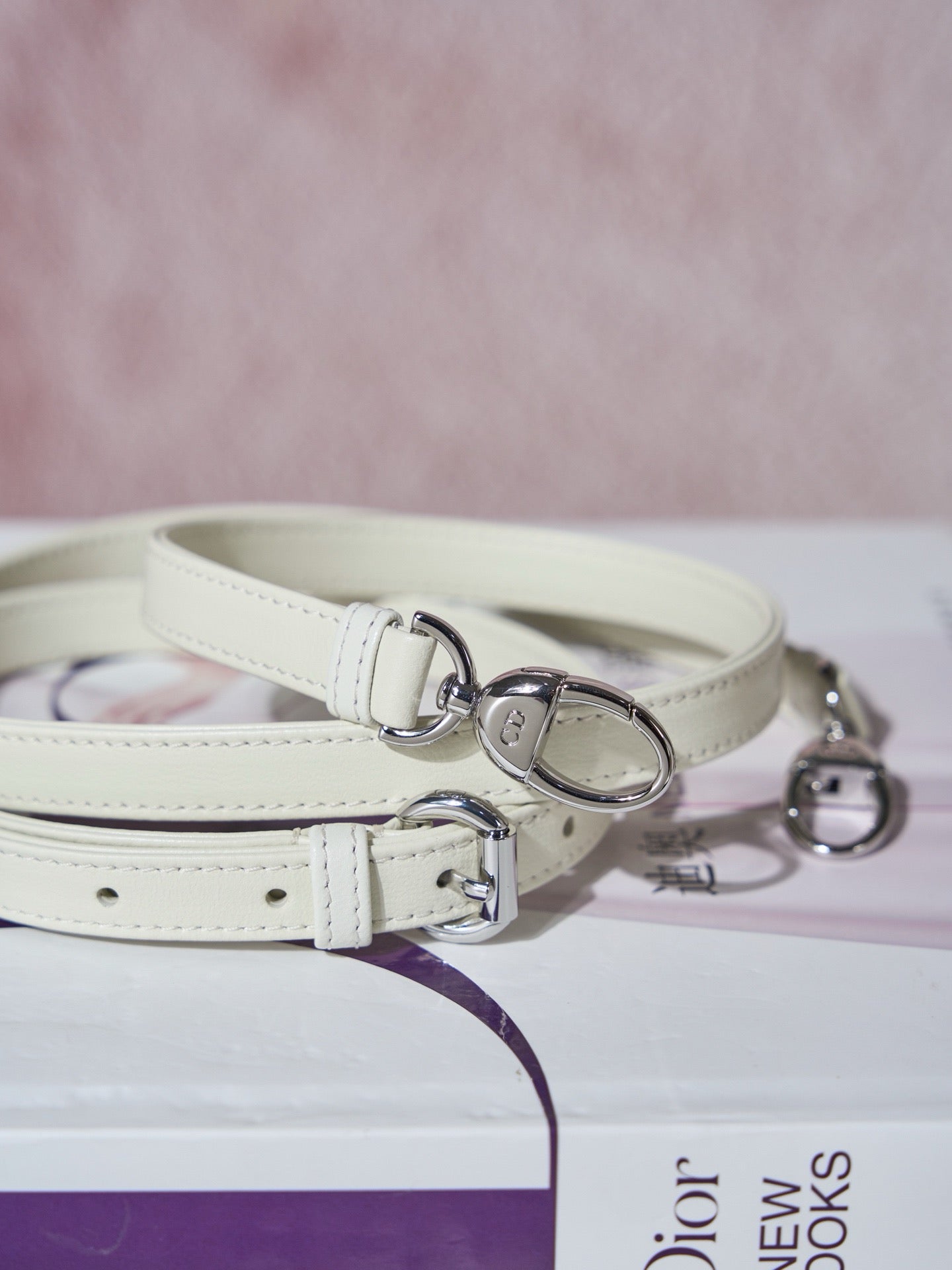 디올 레이디백 미니