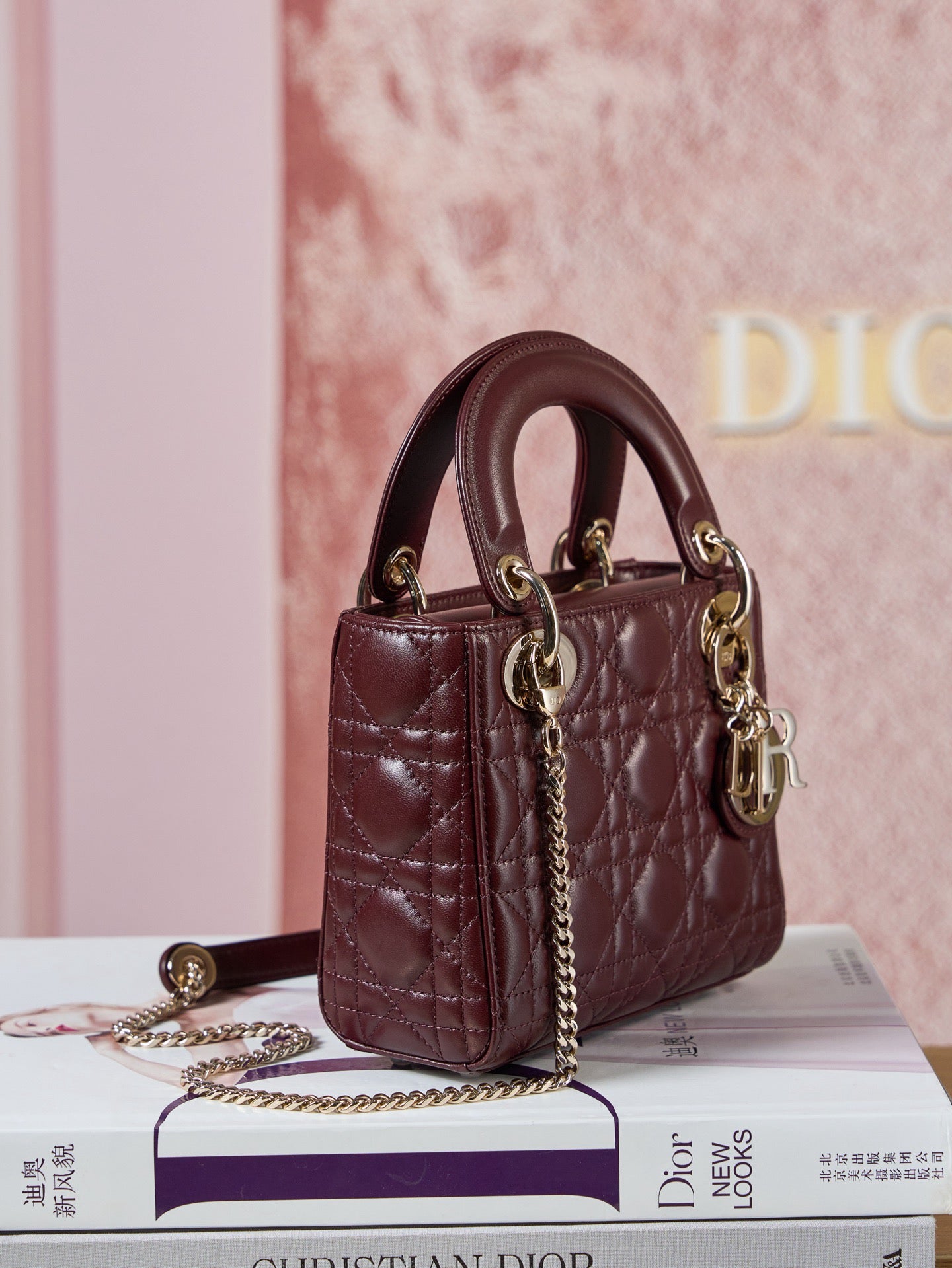 디올 레이디백 미니