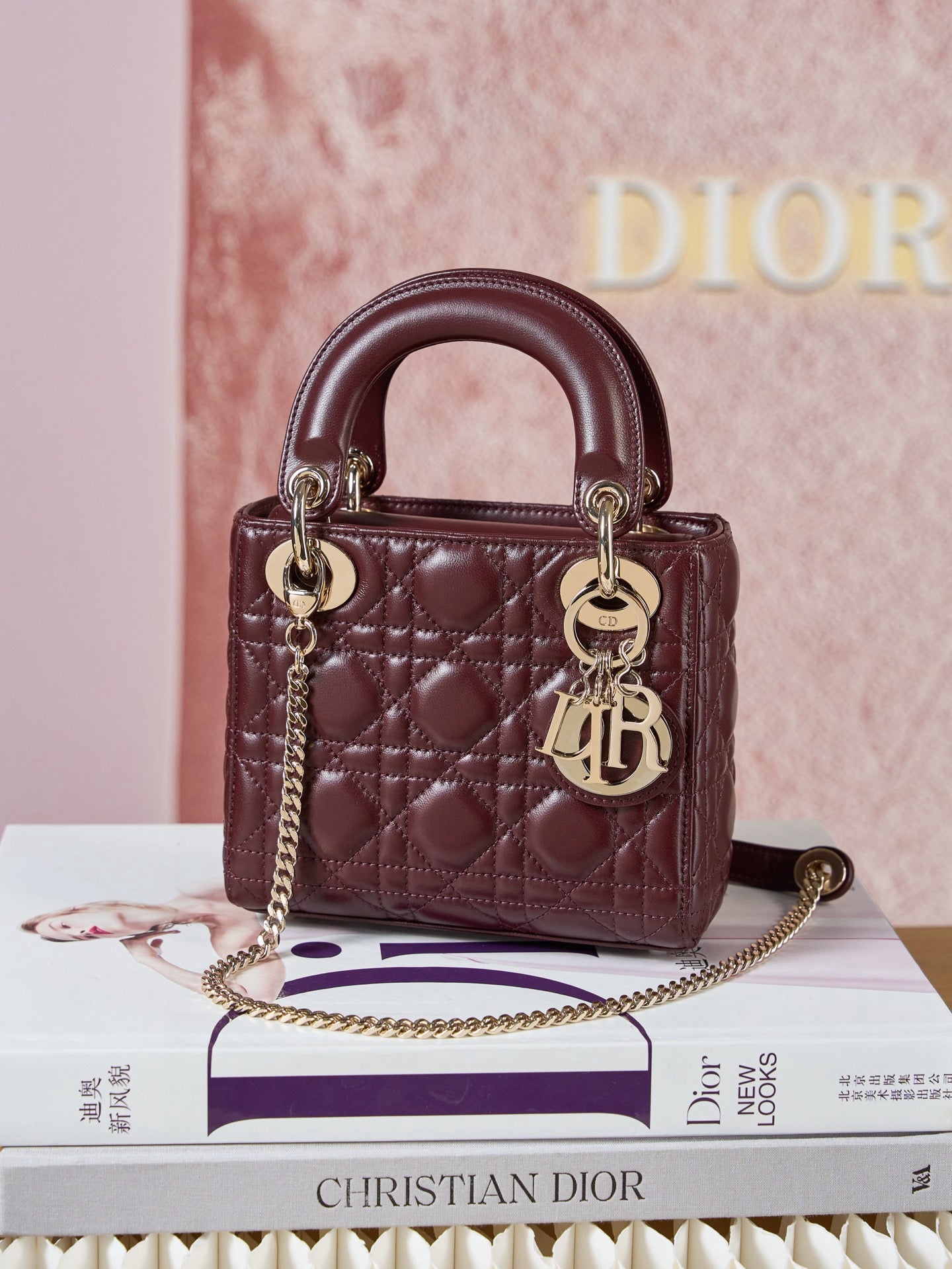 디올 레이디백 미니