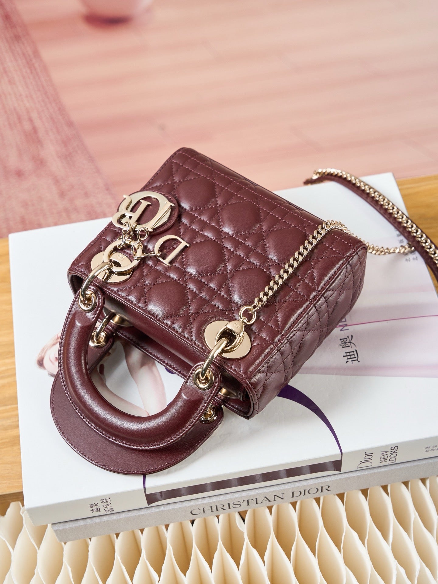 디올 레이디백 미니