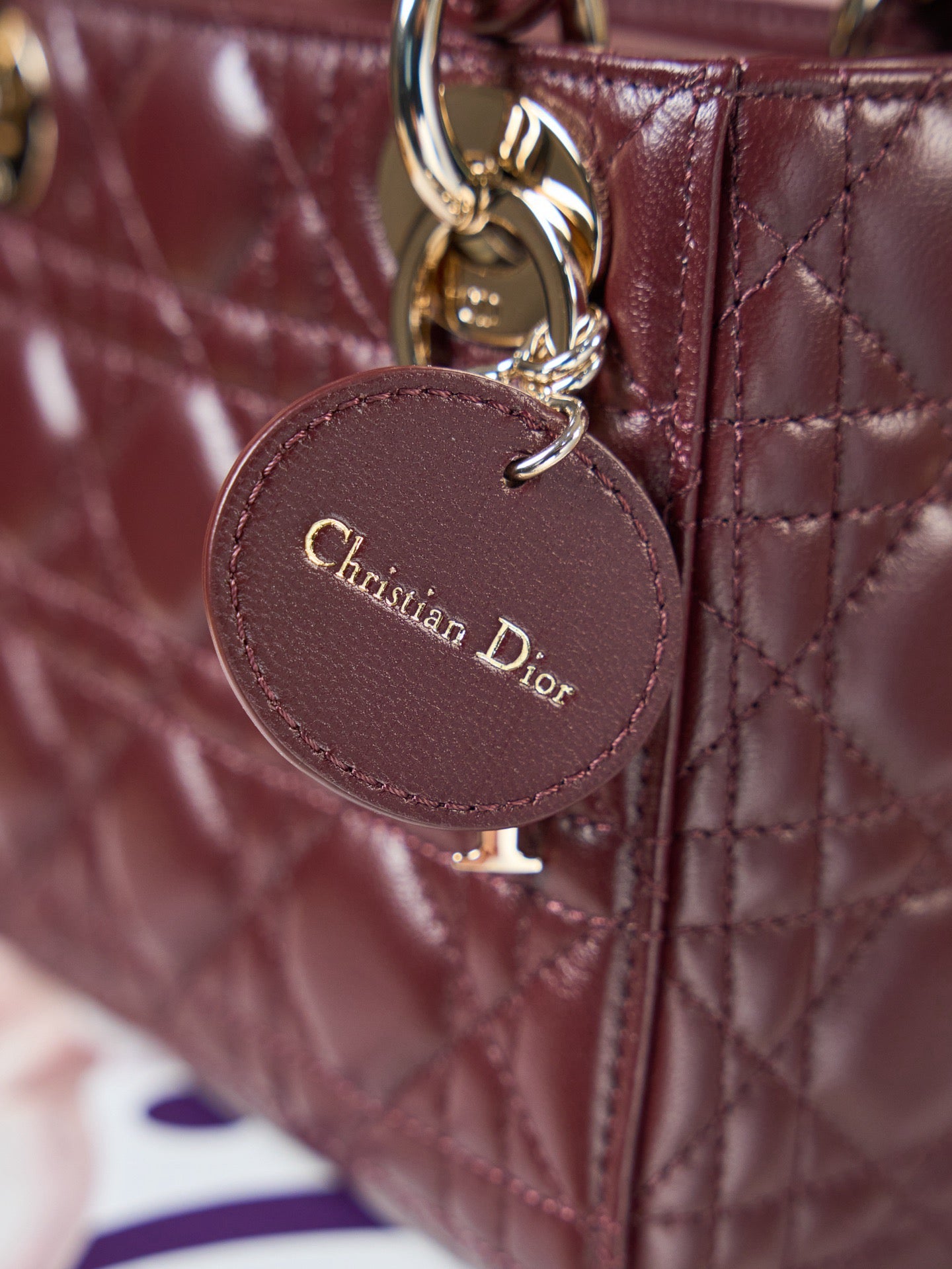 디올 레이디백 미니