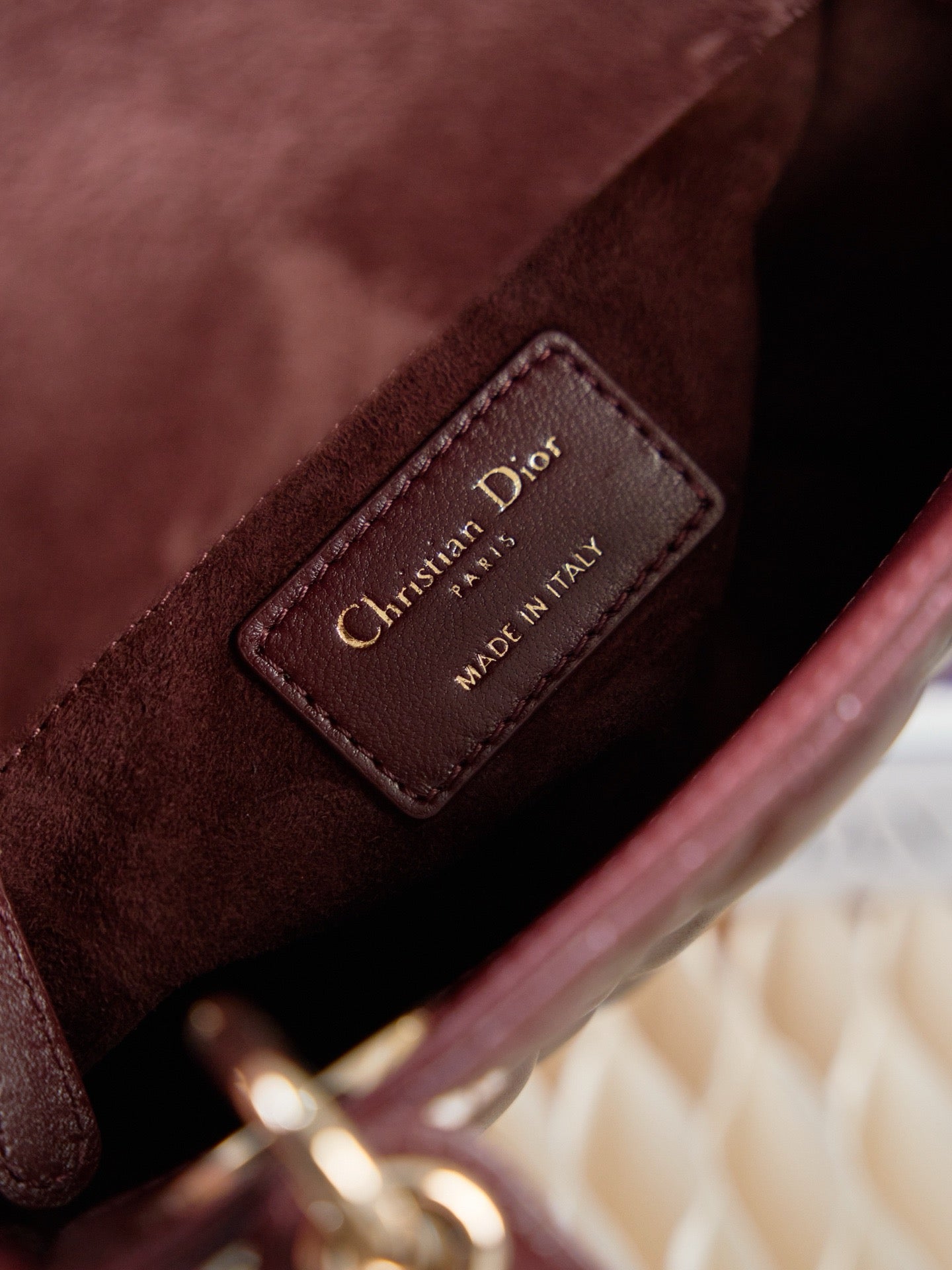 디올 레이디백 미니