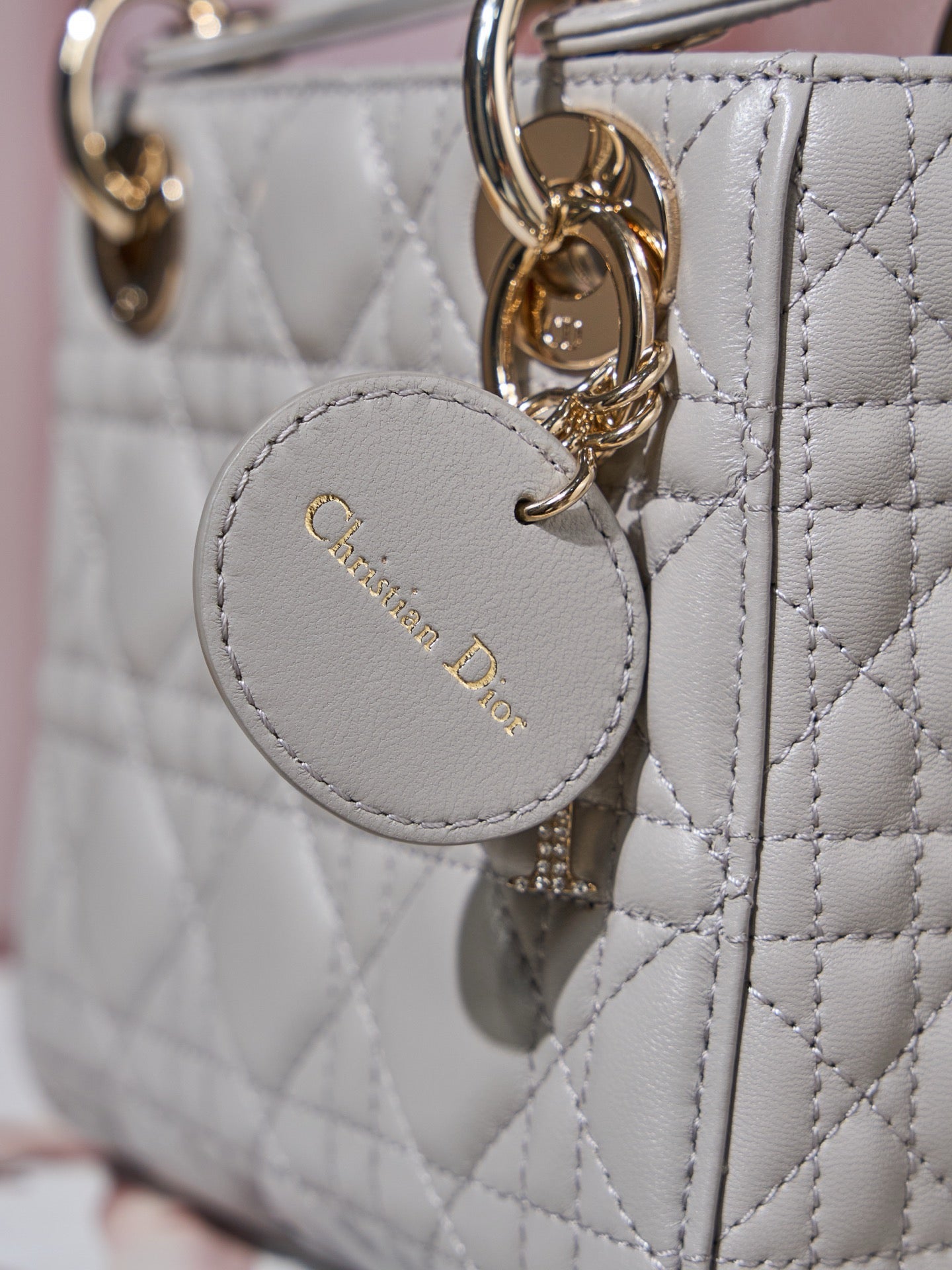 디올 레이디백 미니