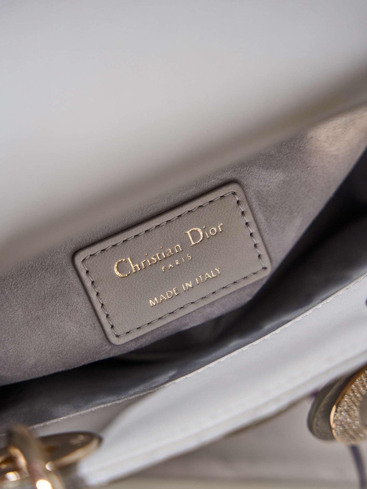 디올 레이디백 미니