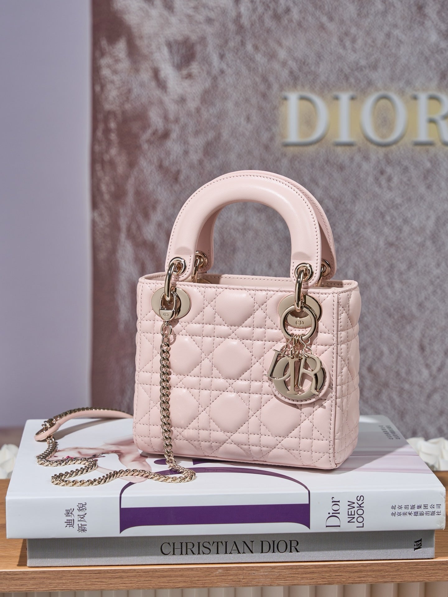 디올 레이디백 미니