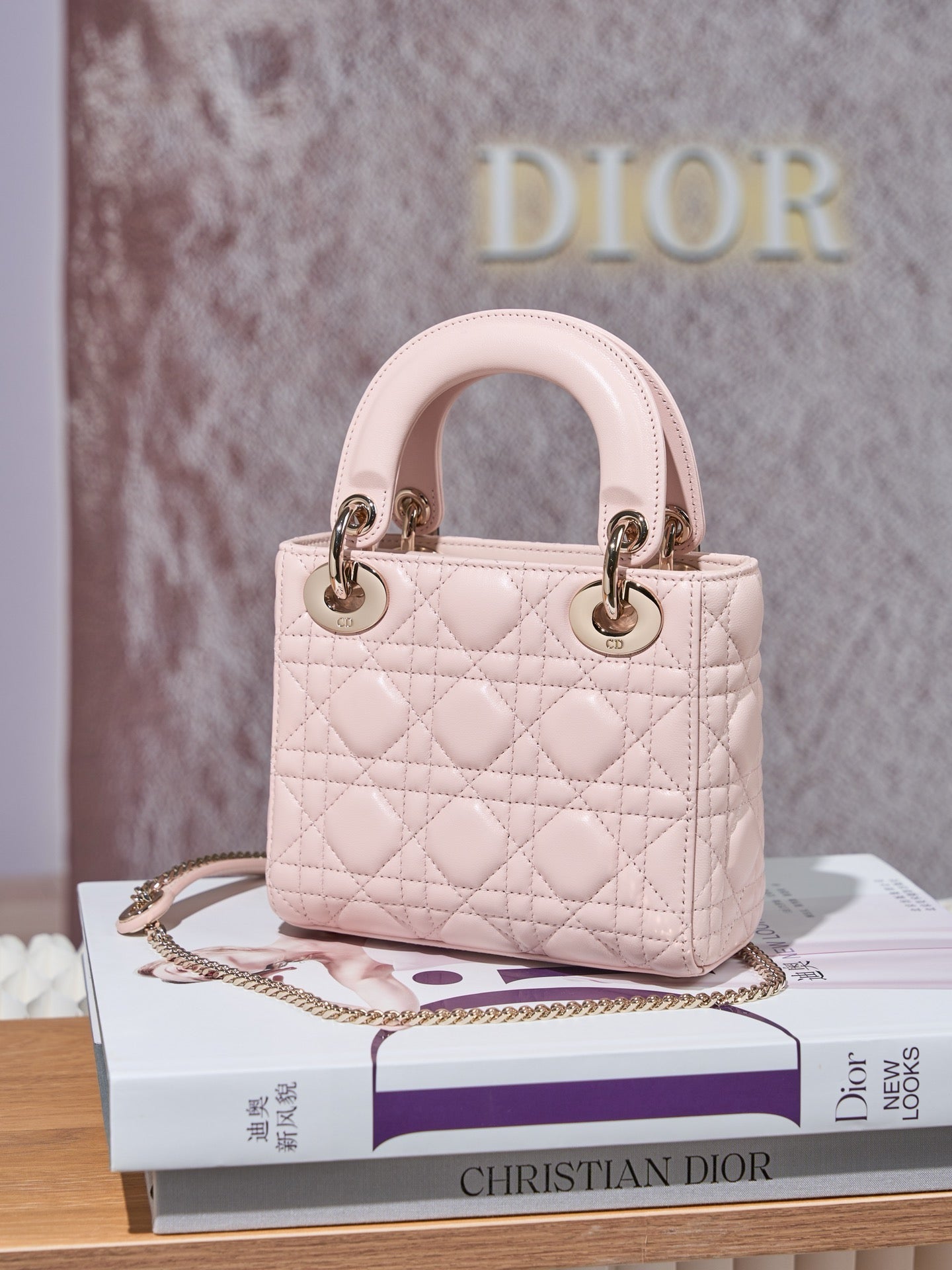 디올 레이디백 미니