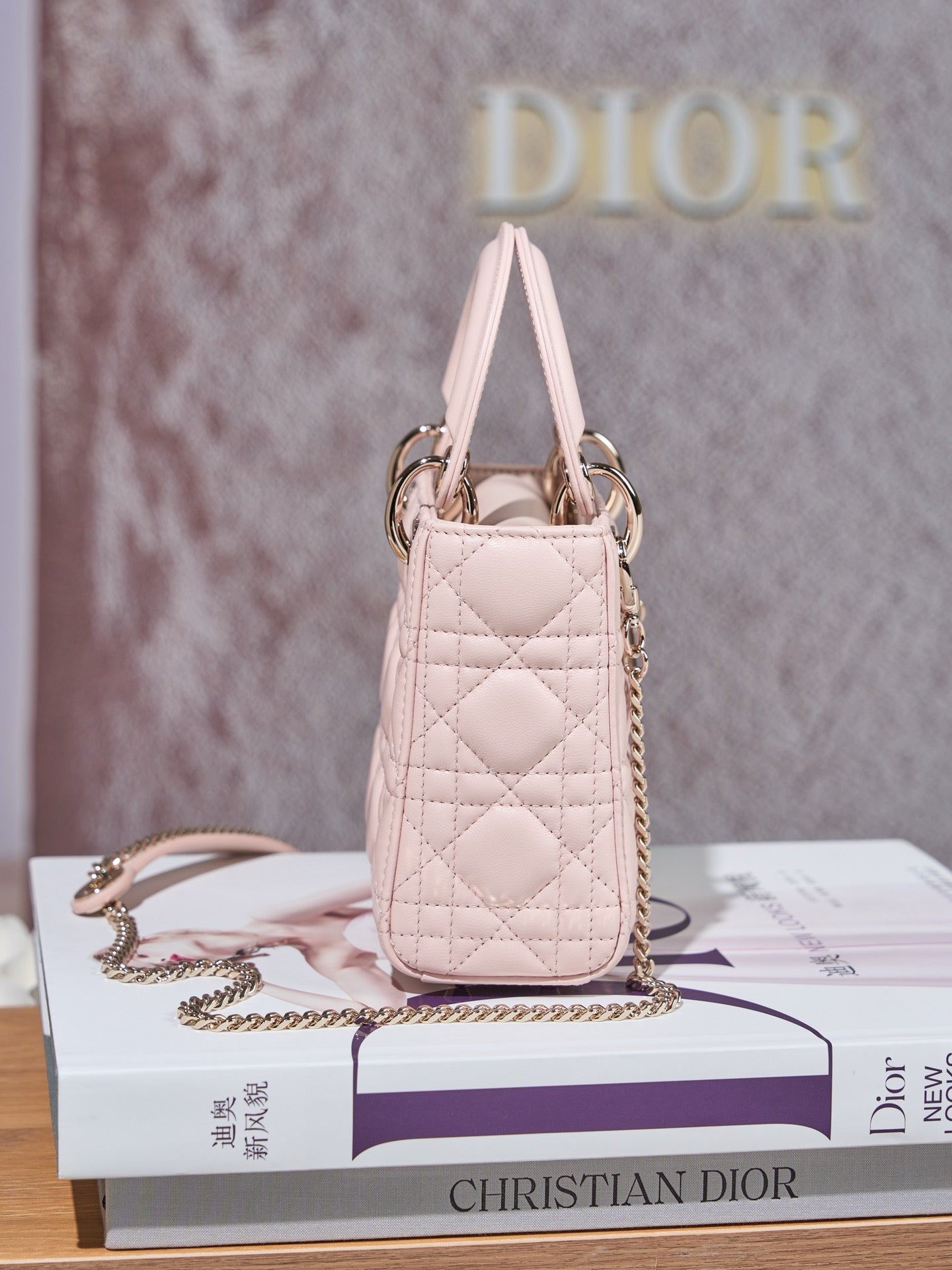 디올 레이디백 미니