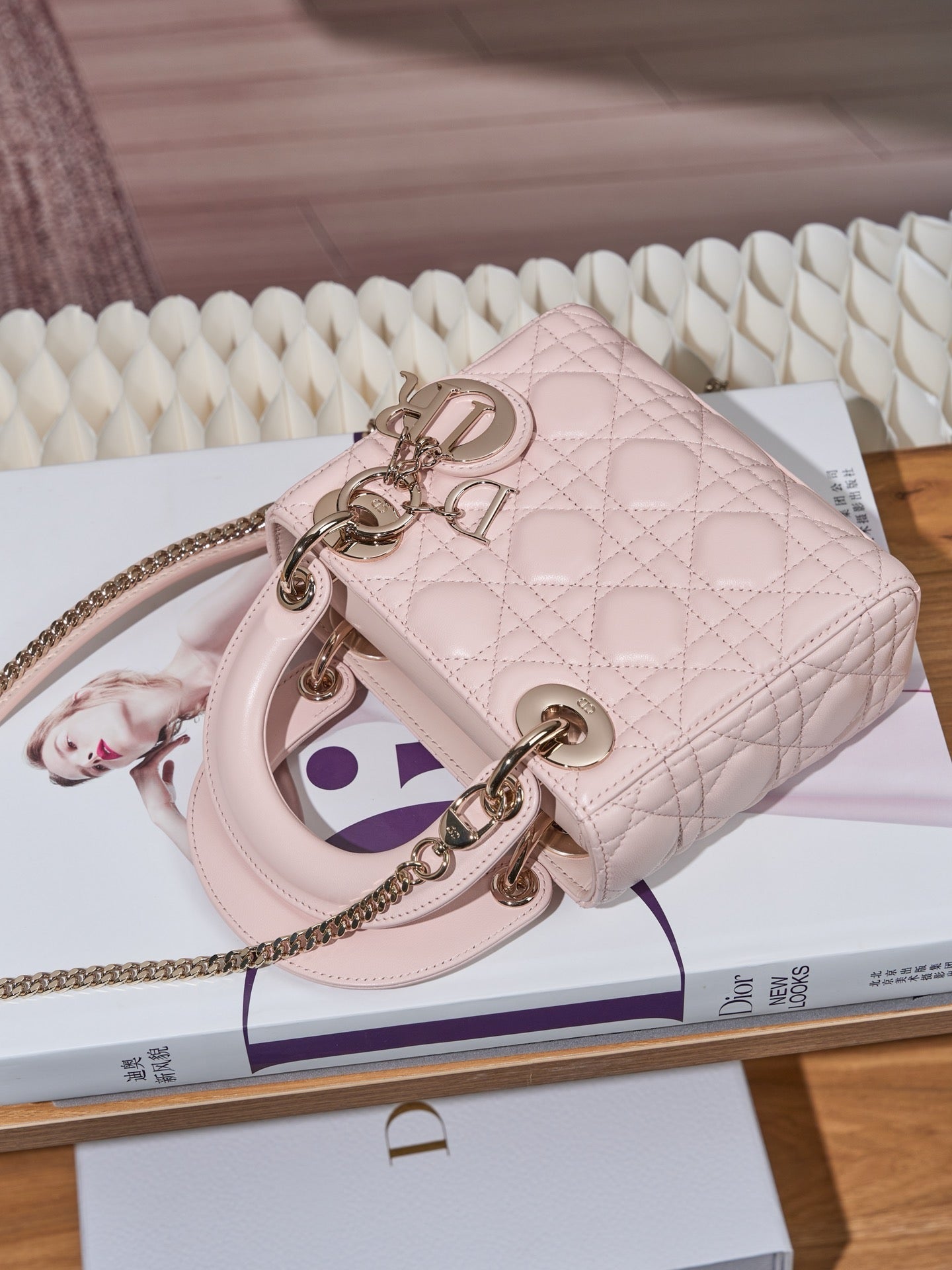 디올 레이디백 미니